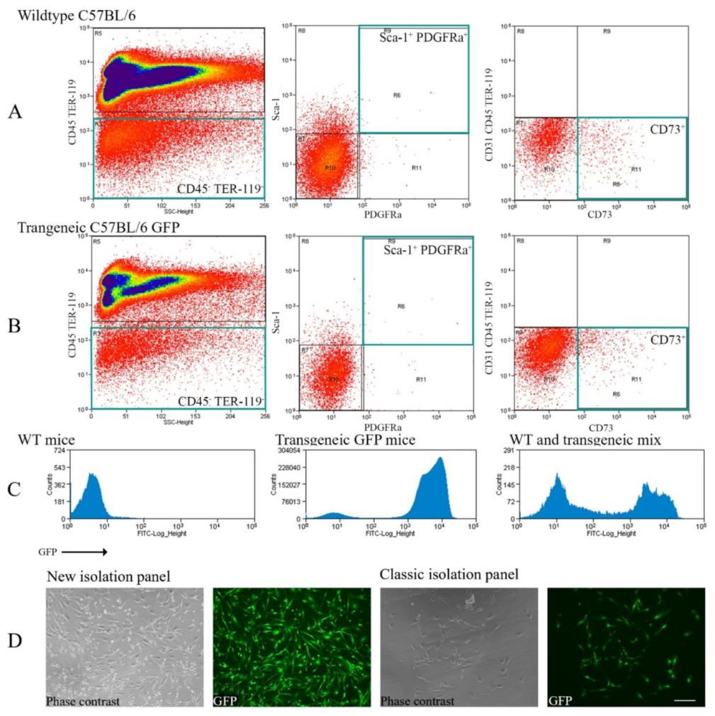 Ijms 22 04895 g001 Ijms 22 04895 g001