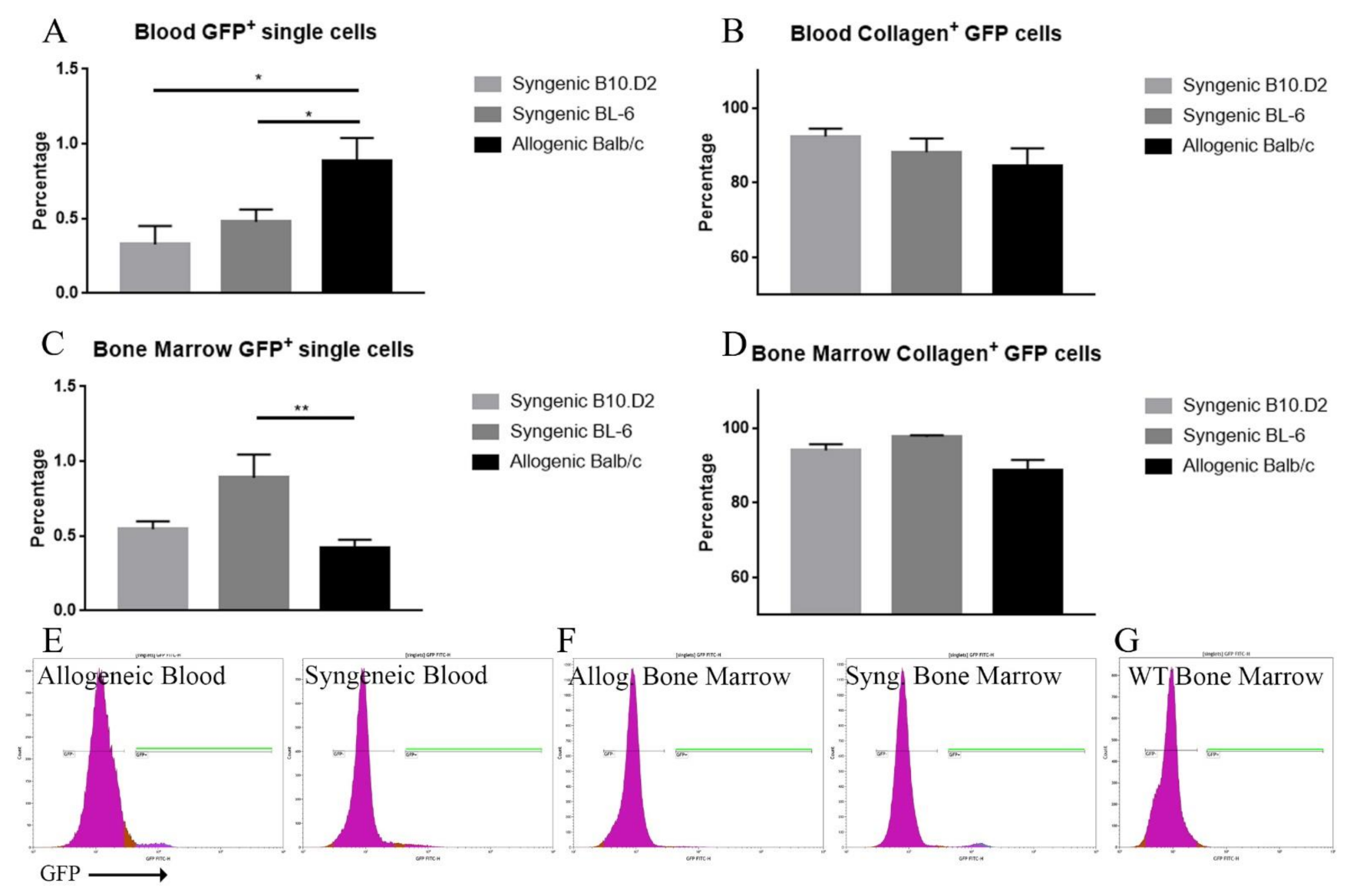 Ijms 22 04895 g005 Ijms 22 04895 g005