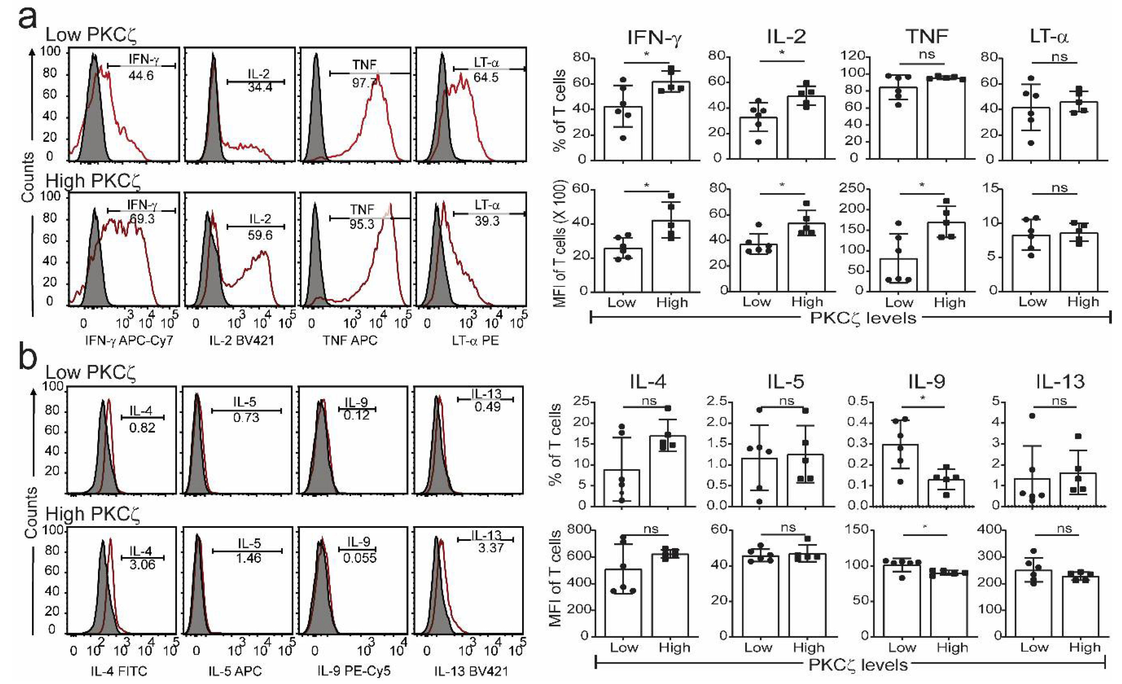 Ijms 22 04907 g003 Ijms 22 04907 g003