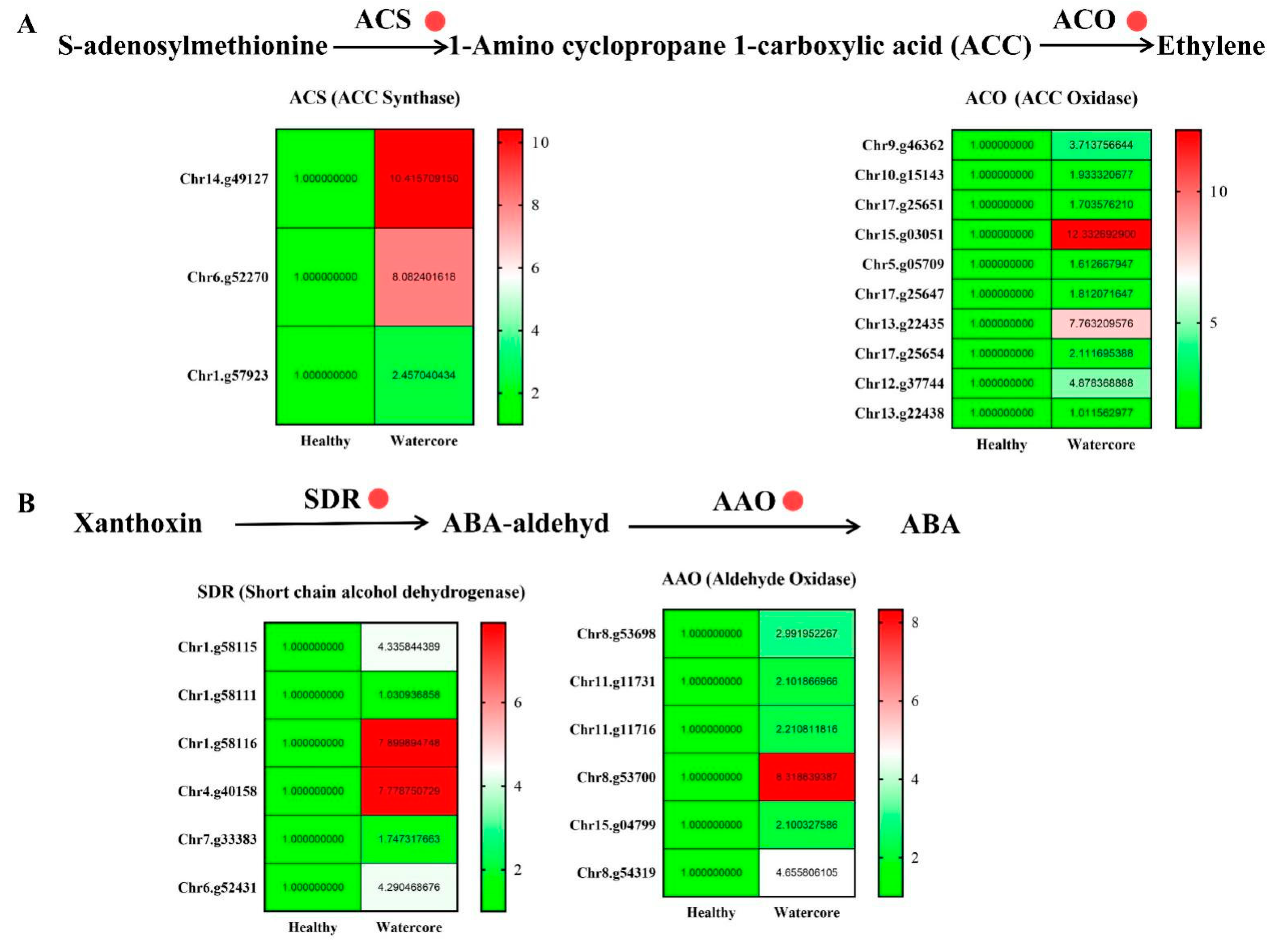 Ijms 22 04911 g005 Ijms 22 04911 g005