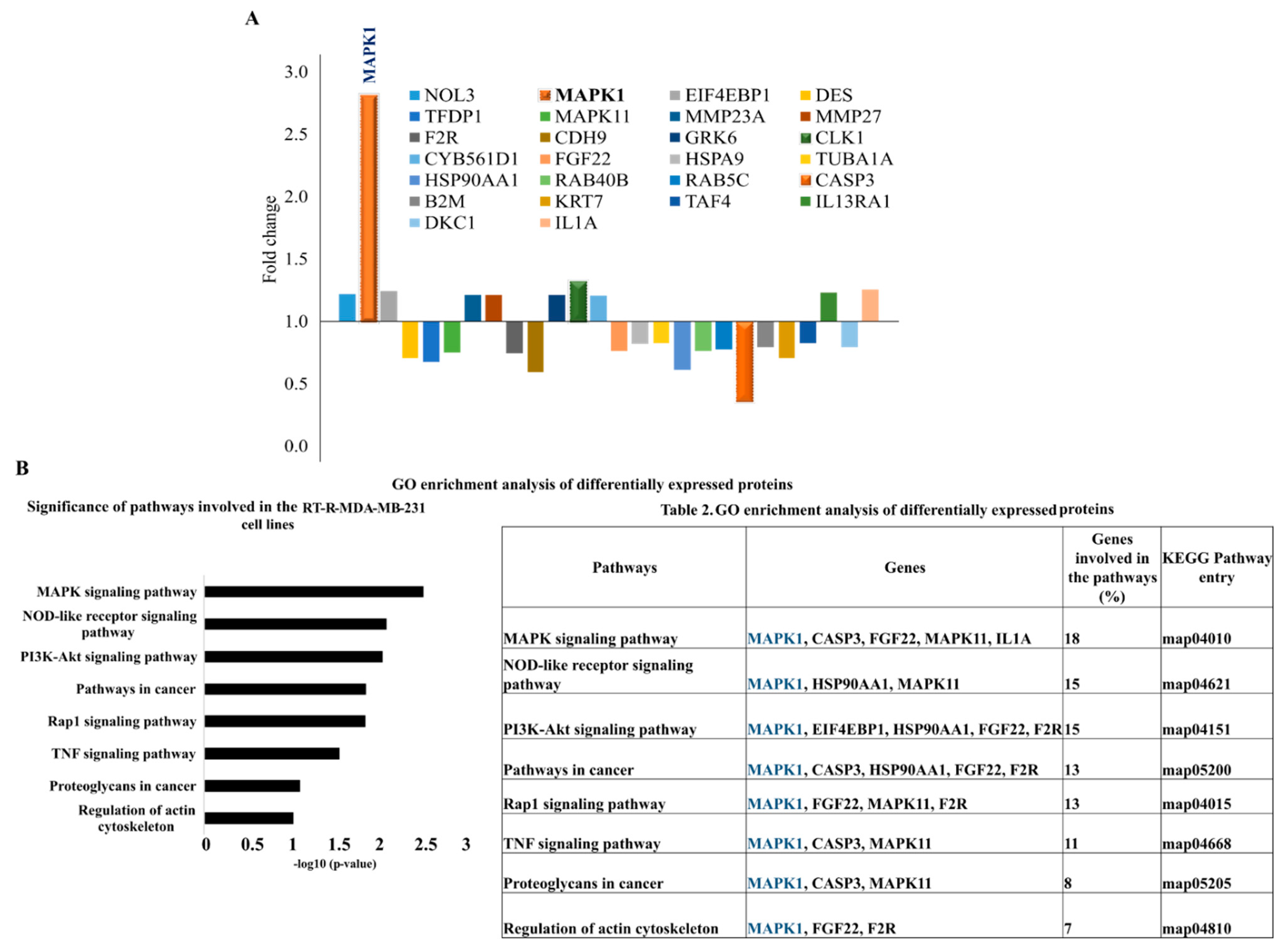 Ijms 22 04940 g001 Ijms 22 04940 g001