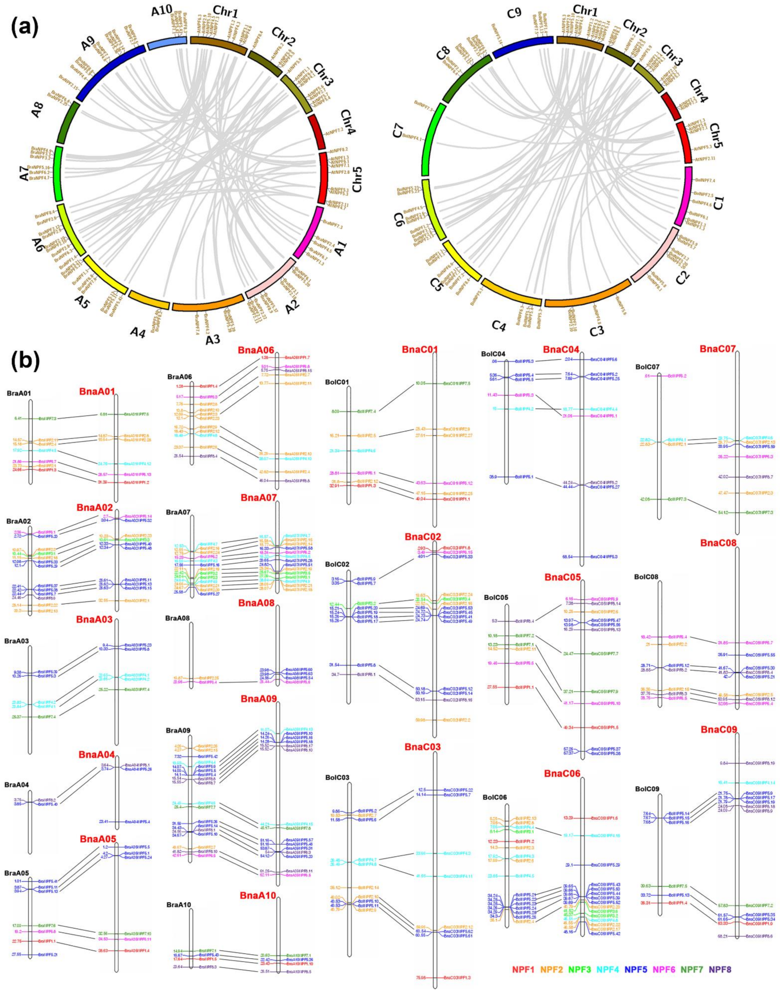Ijms 22 04944 g001 Ijms 22 04944 g001