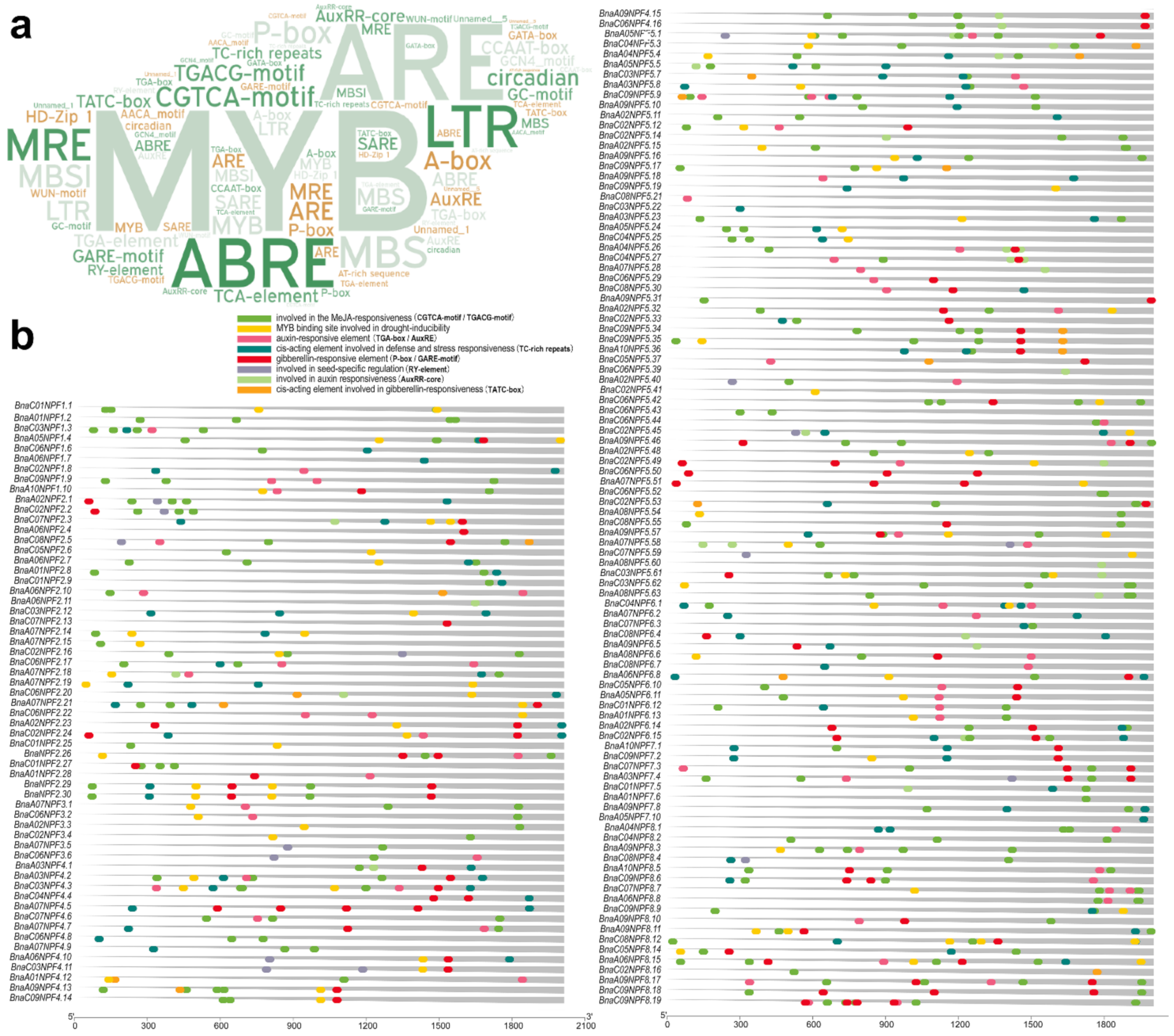 Ijms 22 04944 g002 Ijms 22 04944 g002