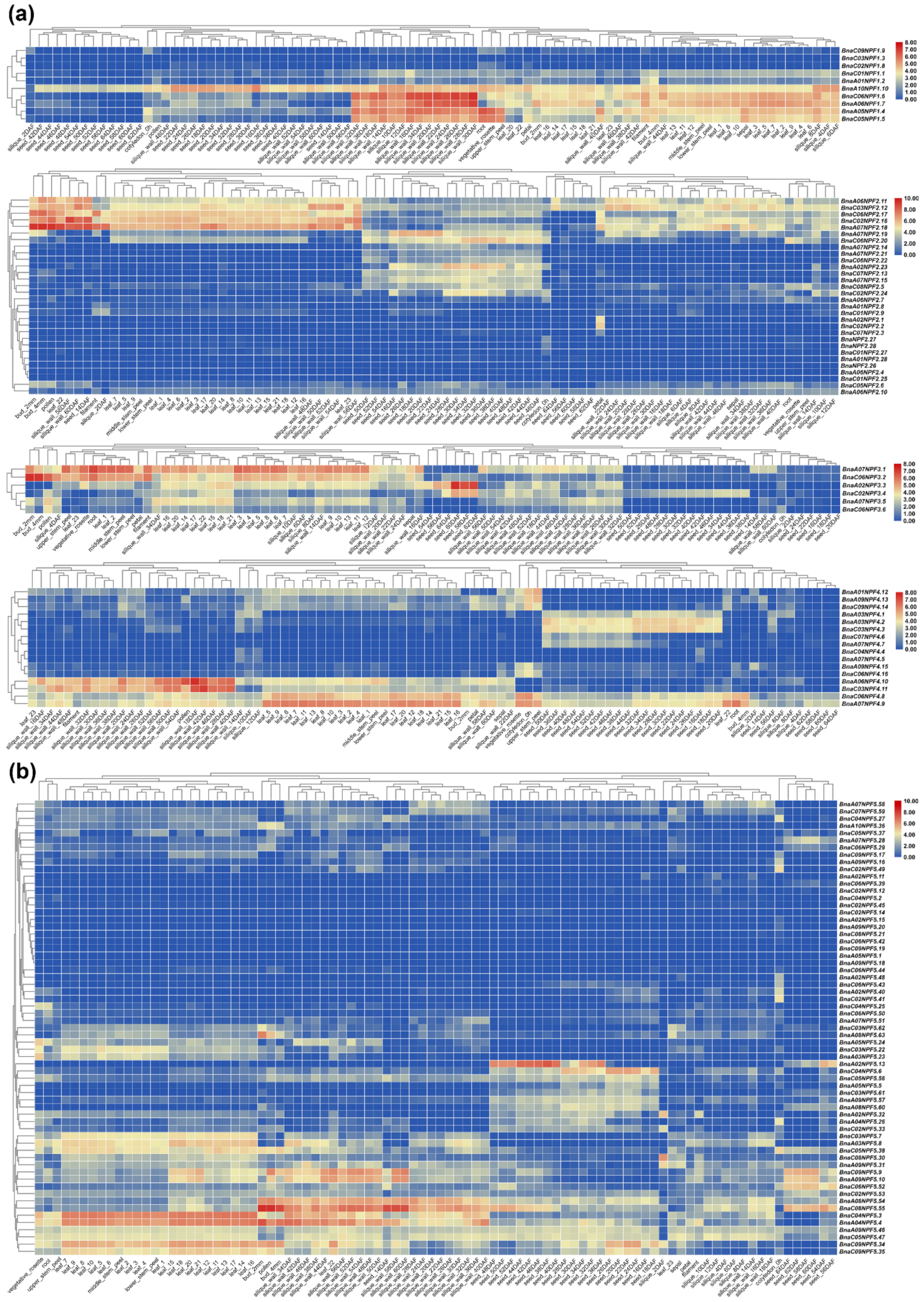 Ijms 22 04944 g003a Ijms 22 04944 g003a
