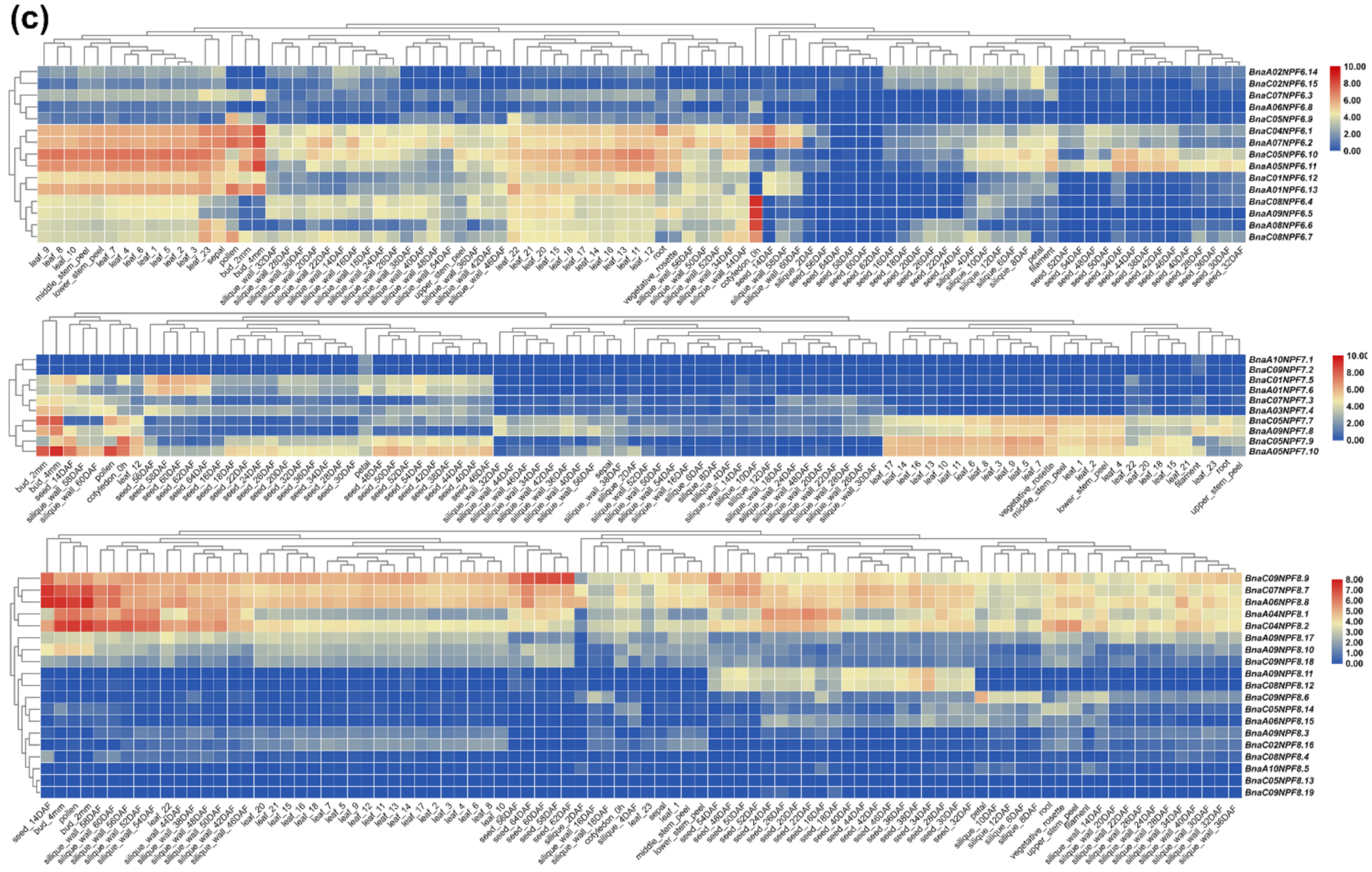 Ijms 22 04944 g003b Ijms 22 04944 g003b