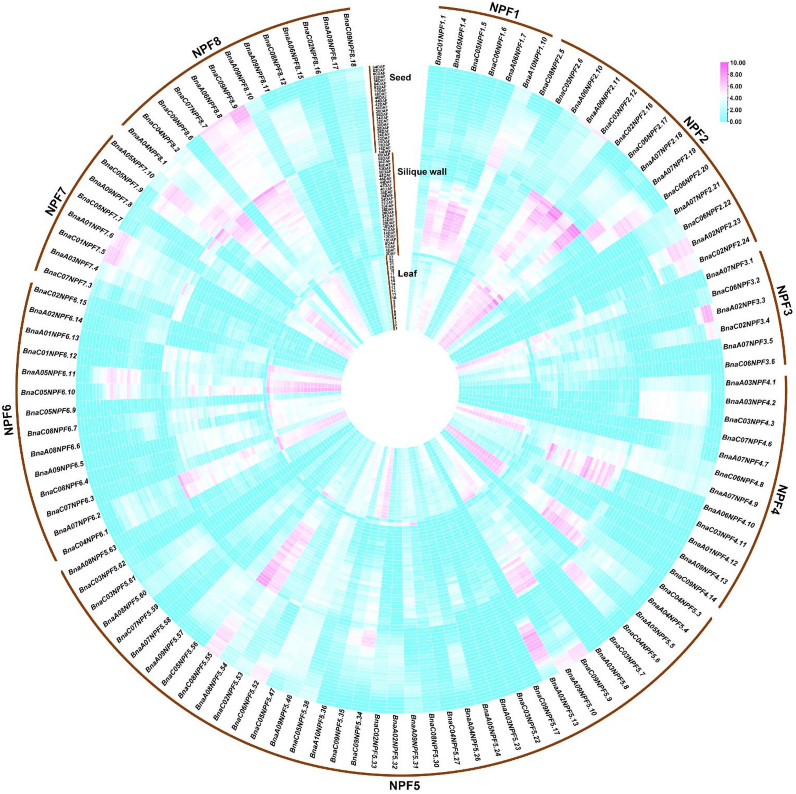 Ijms 22 04944 g004 Ijms 22 04944 g004