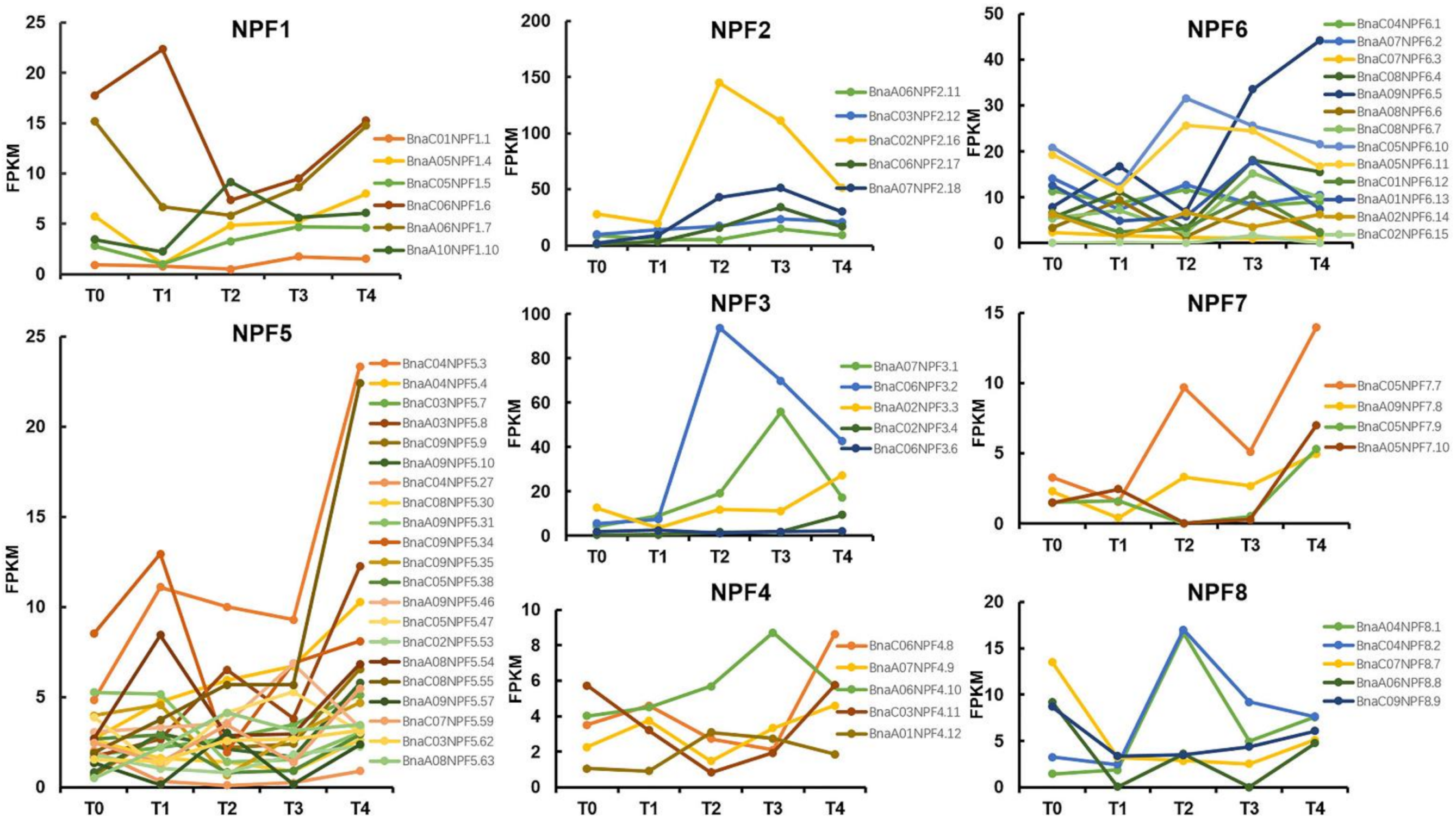 Ijms 22 04944 g005 Ijms 22 04944 g005