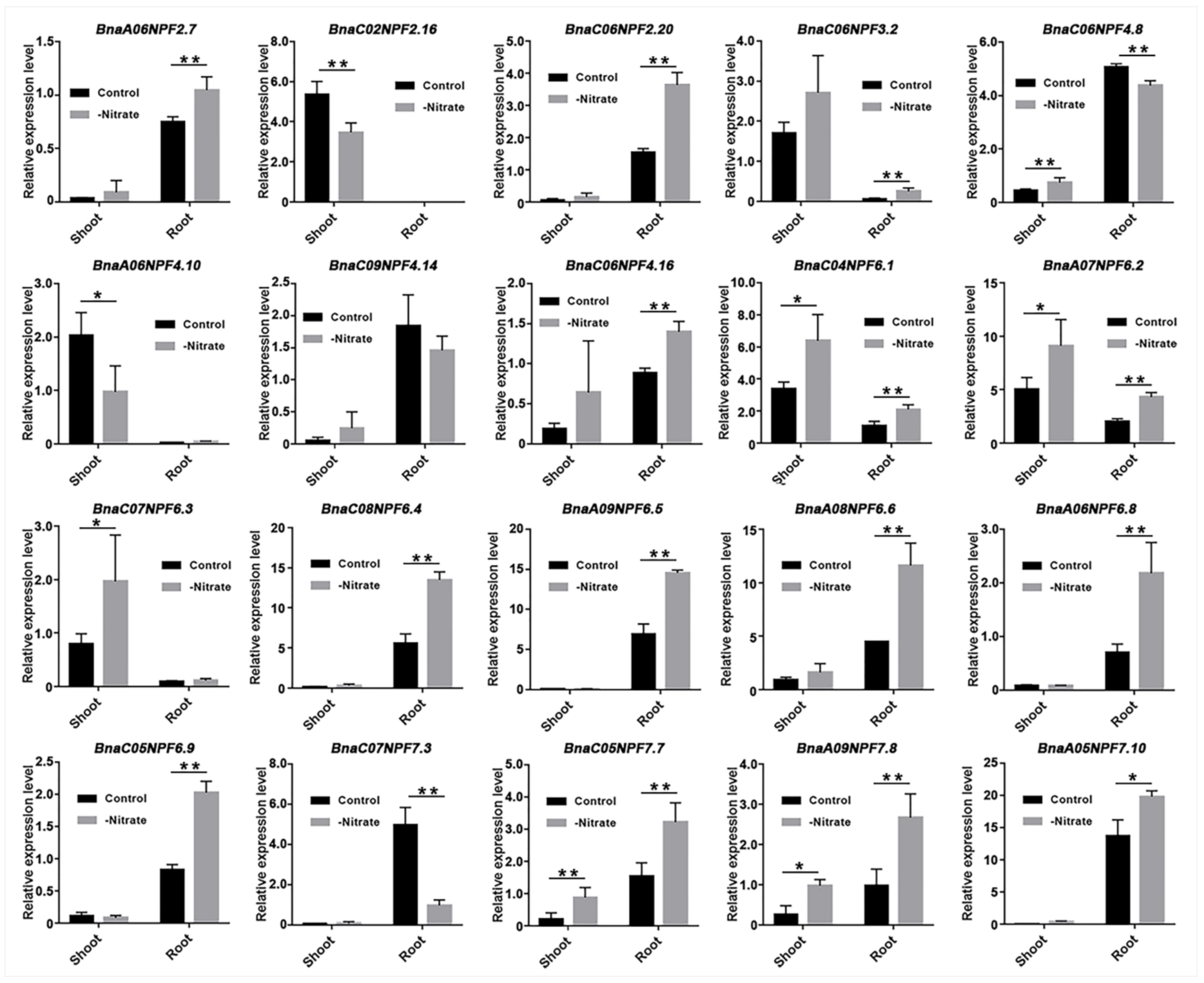 Ijms 22 04944 g006 Ijms 22 04944 g006