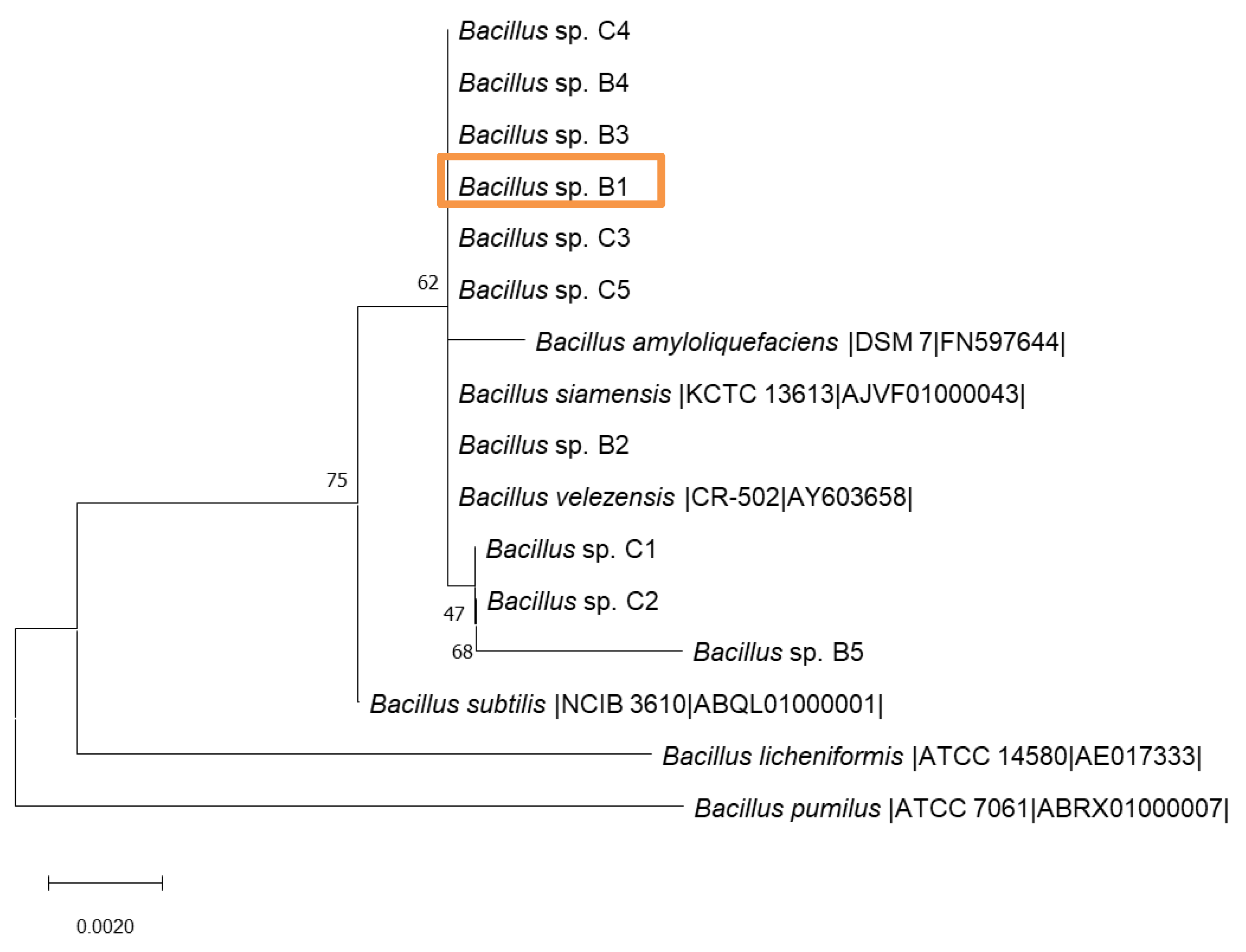 Ijms 22 04952 g001 Ijms 22 04952 g001