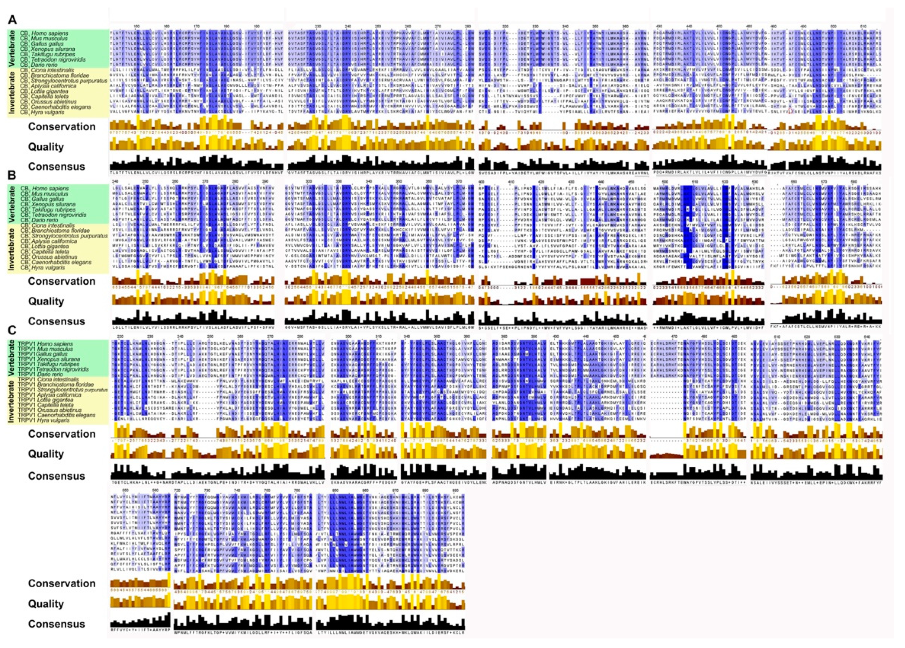 Ijms 22 04954 g004 Ijms 22 04954 g004