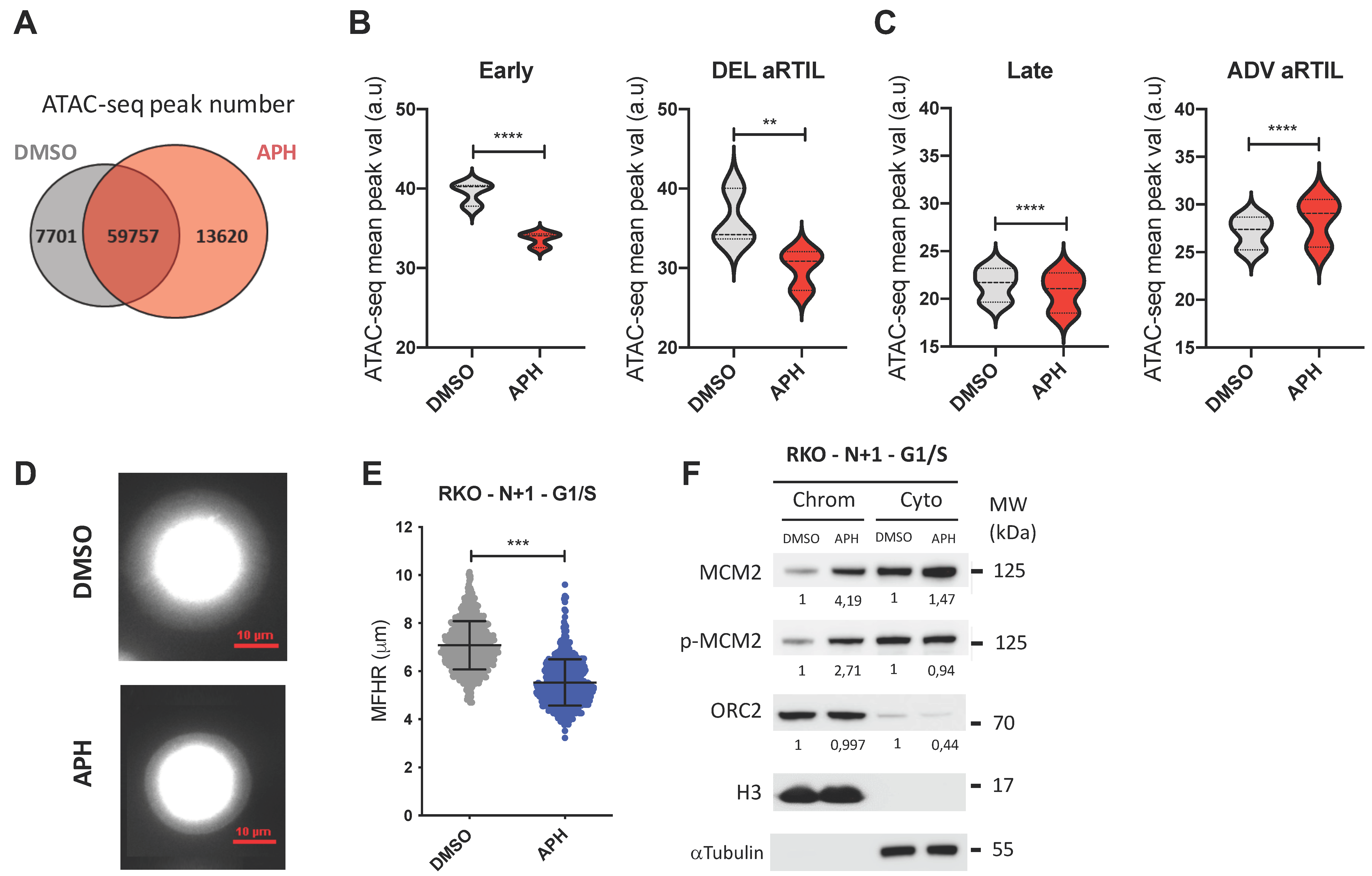 Ijms 22 04959 g005 Ijms 22 04959 g005