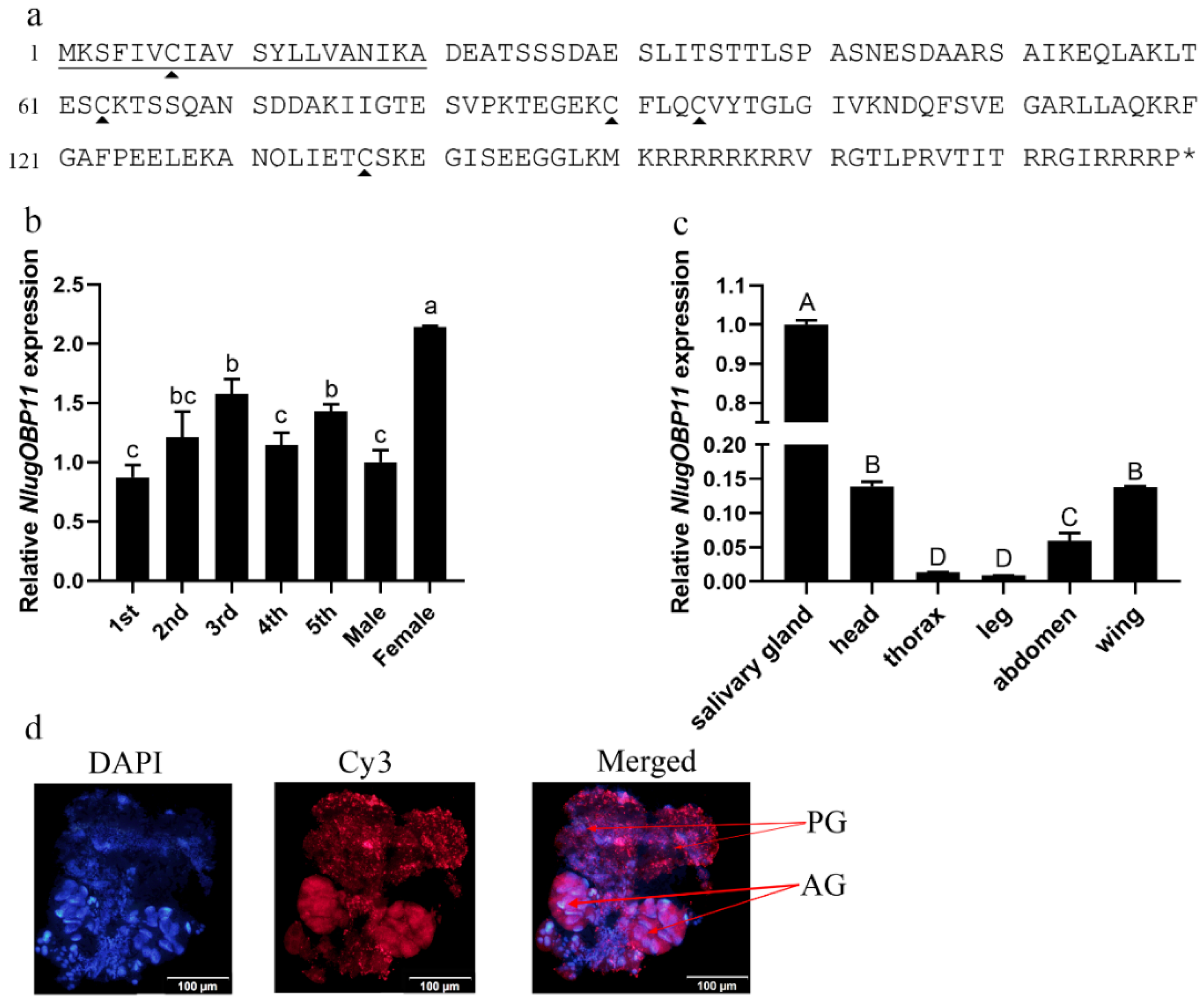 Ijms 22 04988 g001 Ijms 22 04988 g001