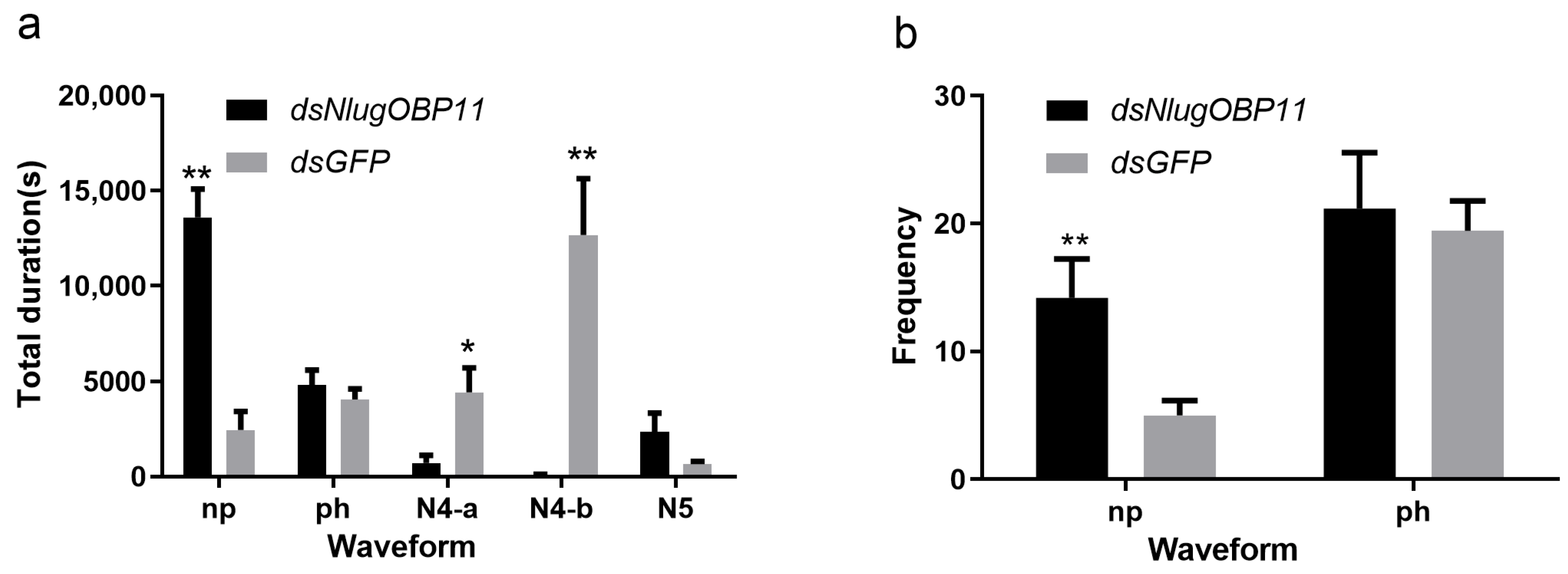 Ijms 22 04988 g004 Ijms 22 04988 g004