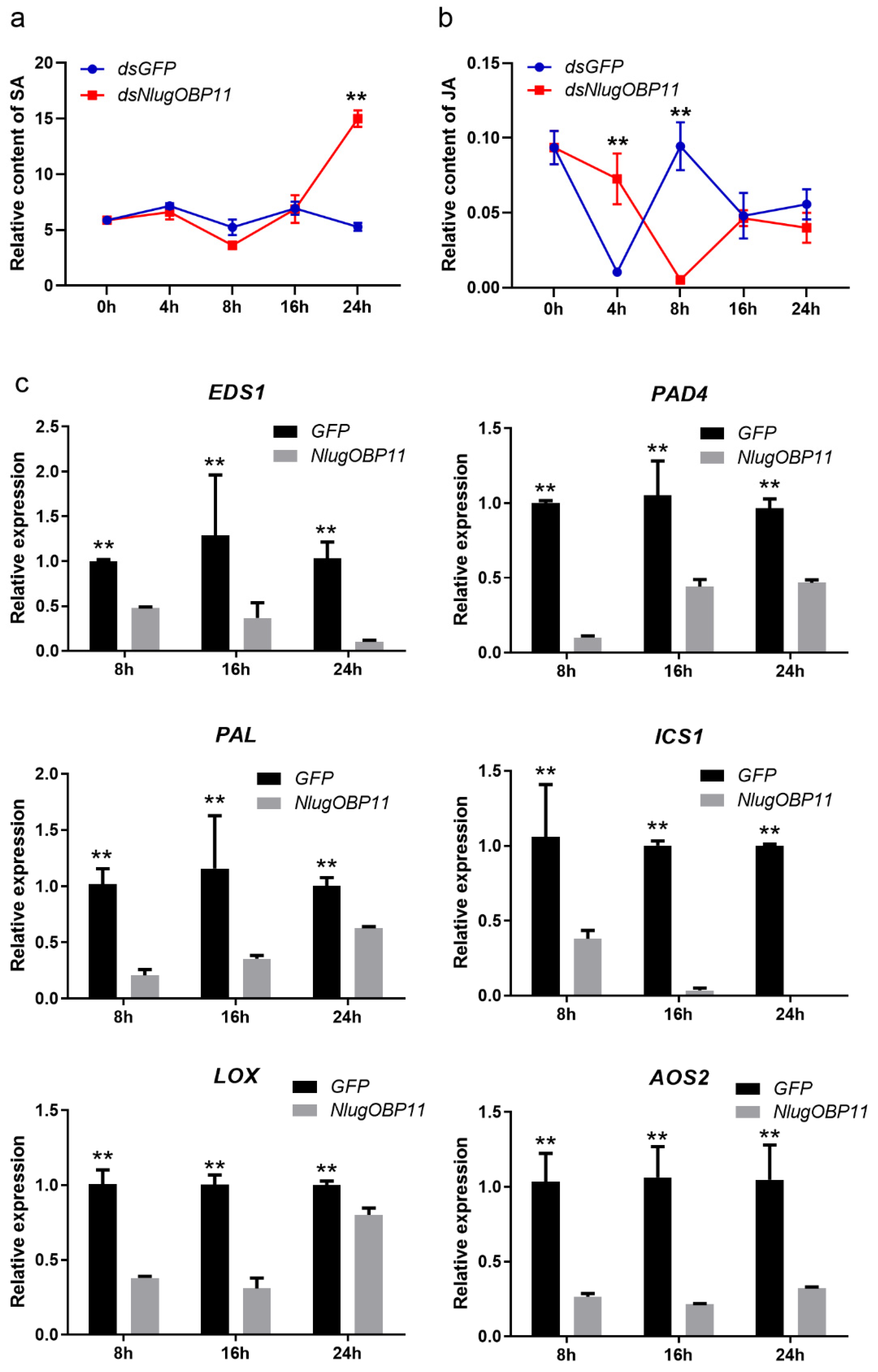 Ijms 22 04988 g005 Ijms 22 04988 g005