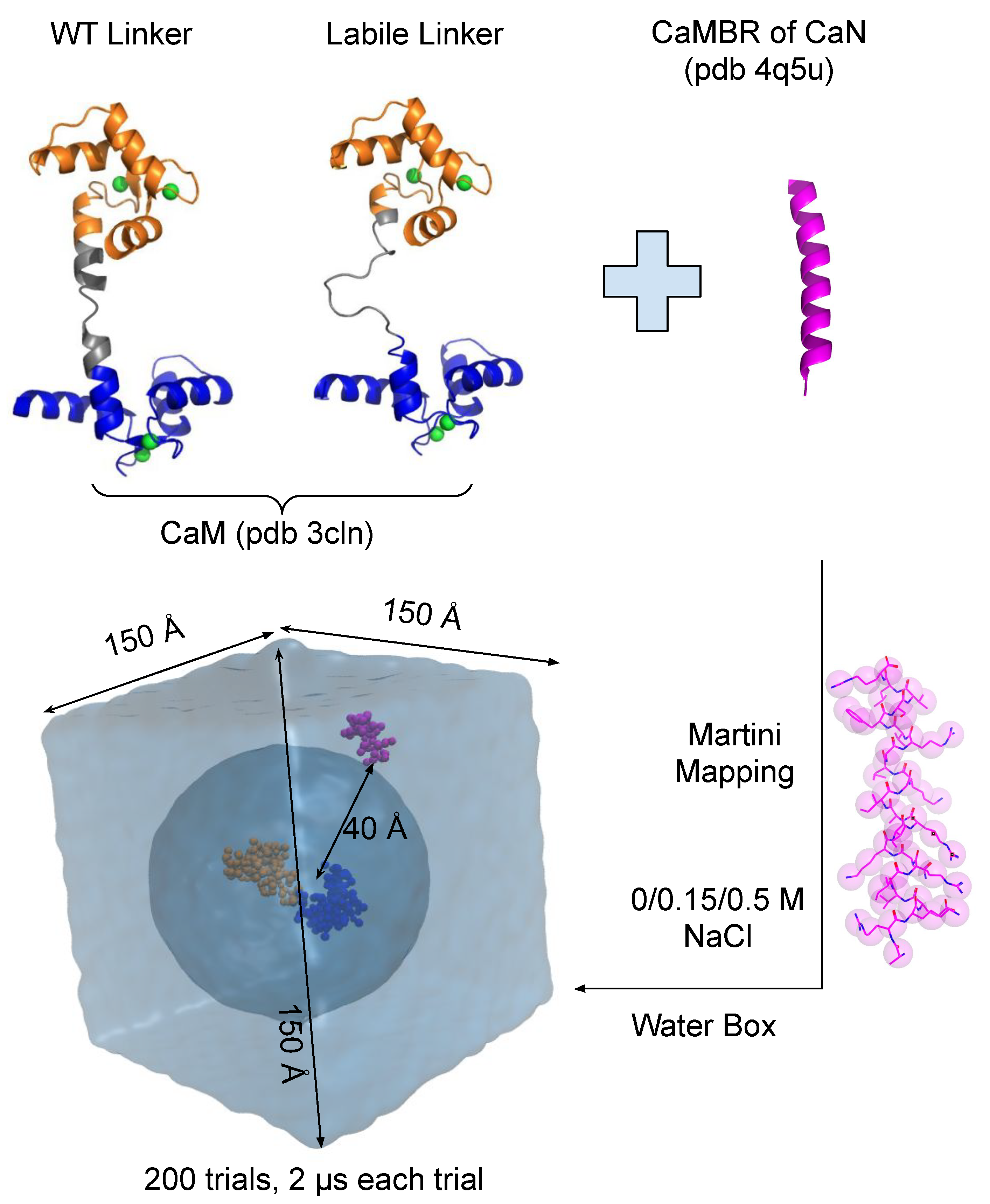 Ijms 22 04990 g002 Ijms 22 04990 g002