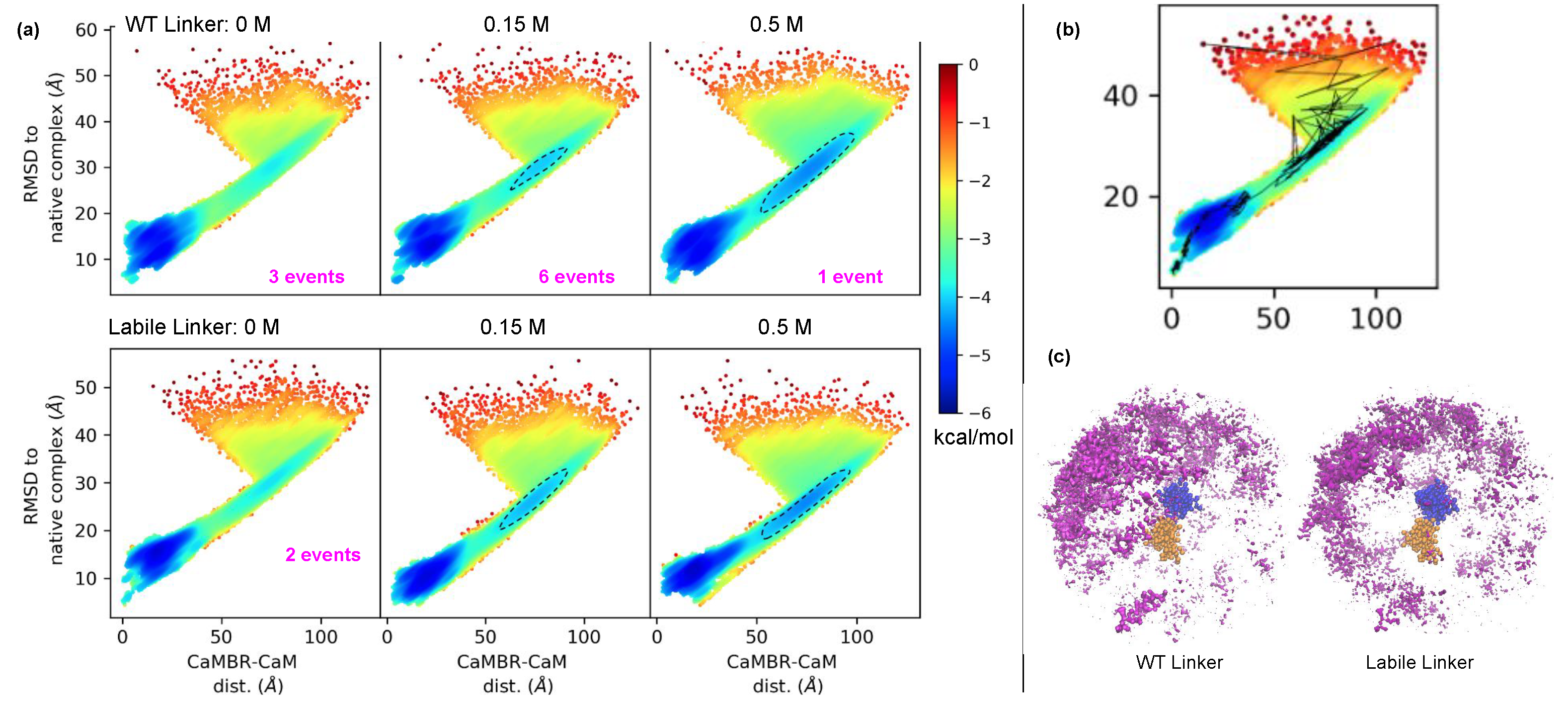 Ijms 22 04990 g003 Ijms 22 04990 g003