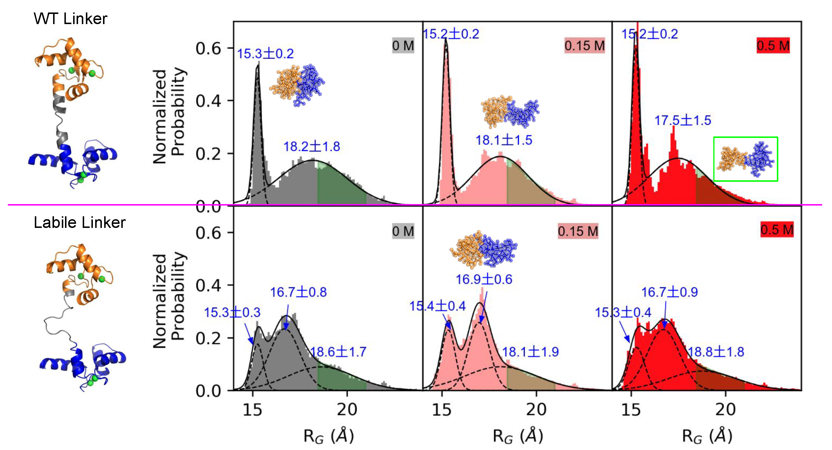 Ijms 22 04990 g004 Ijms 22 04990 g004