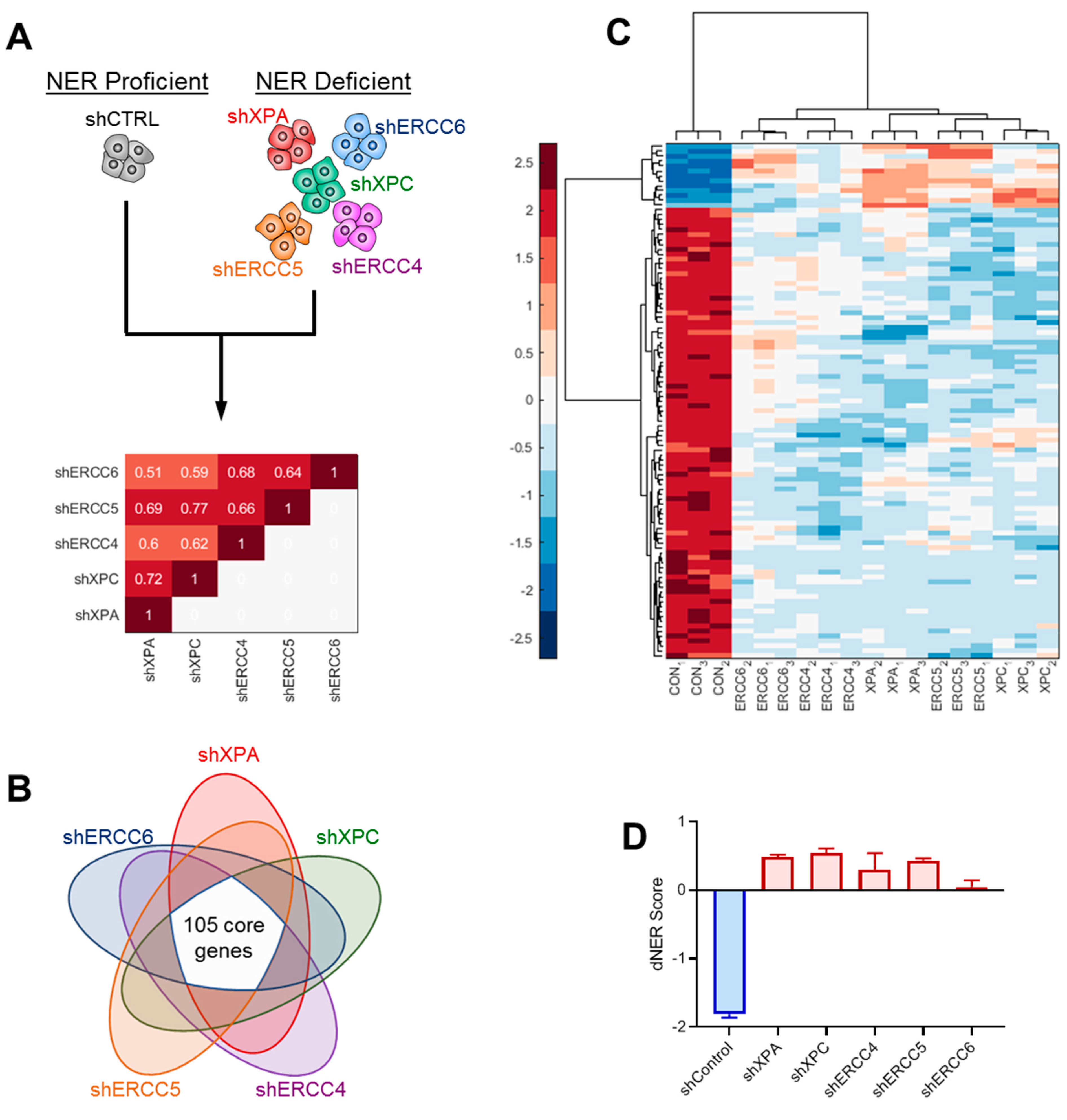 Ijms 22 05008 g002 Ijms 22 05008 g002