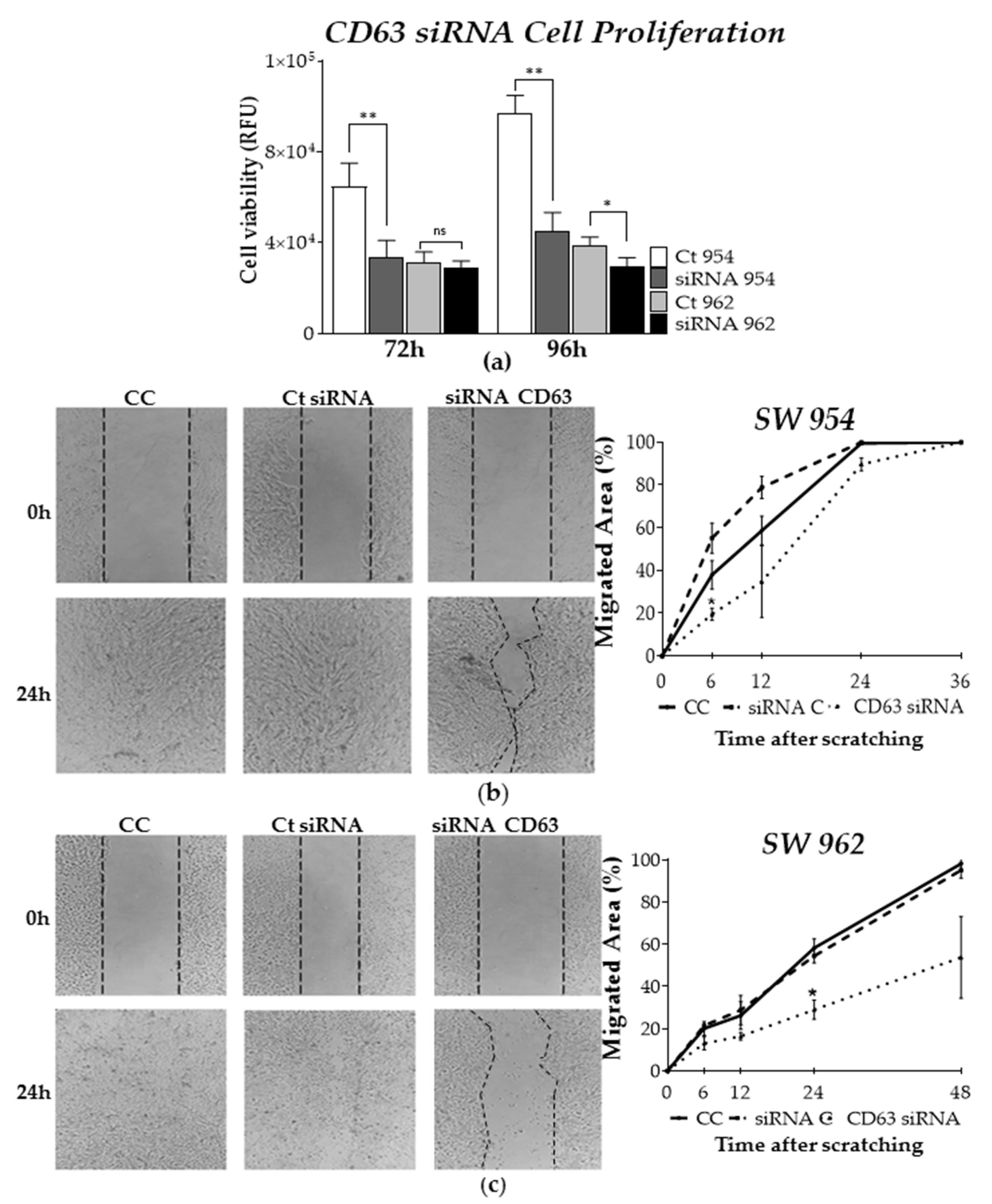 Ijms 22 05015 g005 Ijms 22 05015 g005