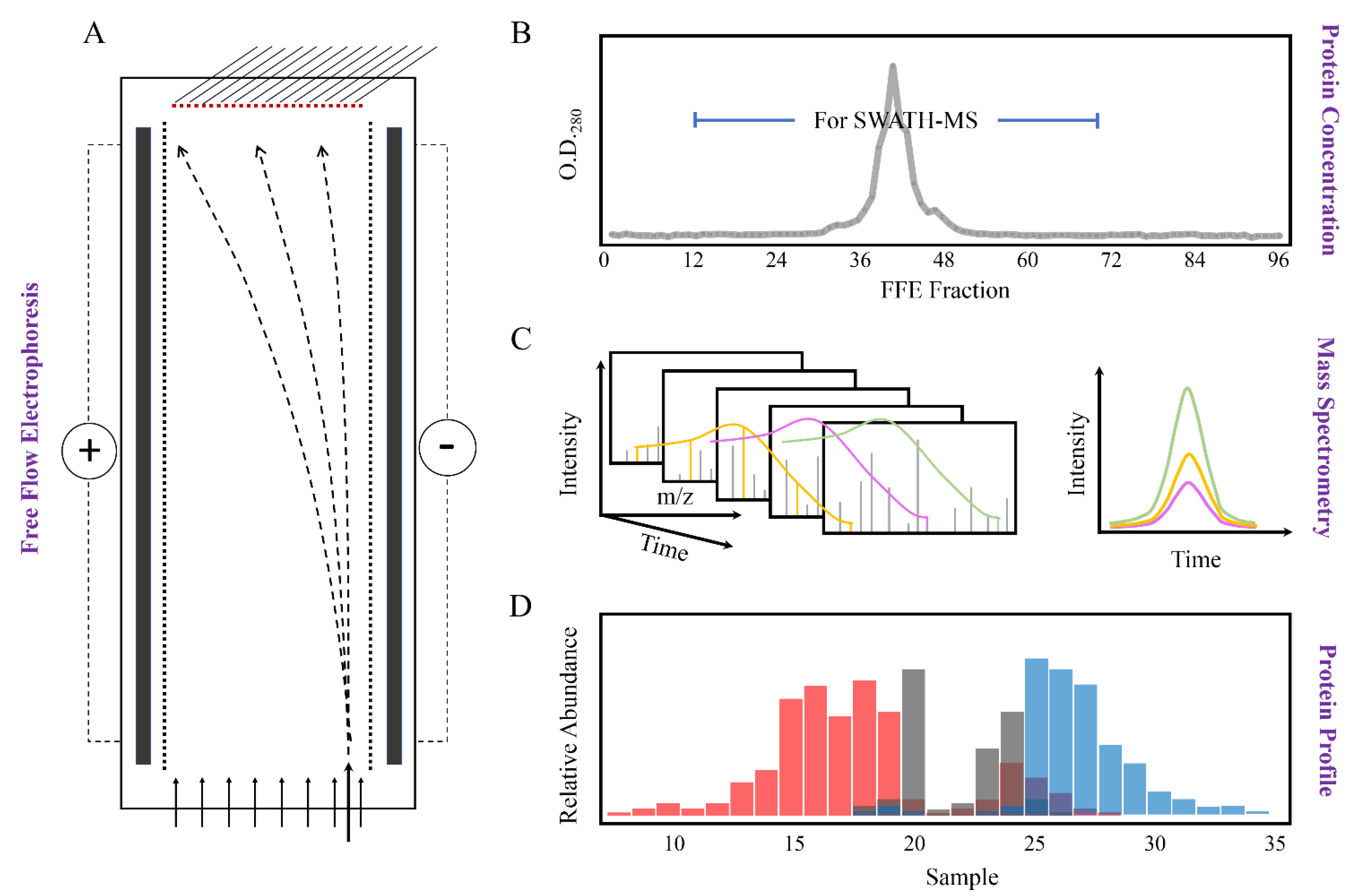 Ijms 22 05020 g002 Ijms 22 05020 g002