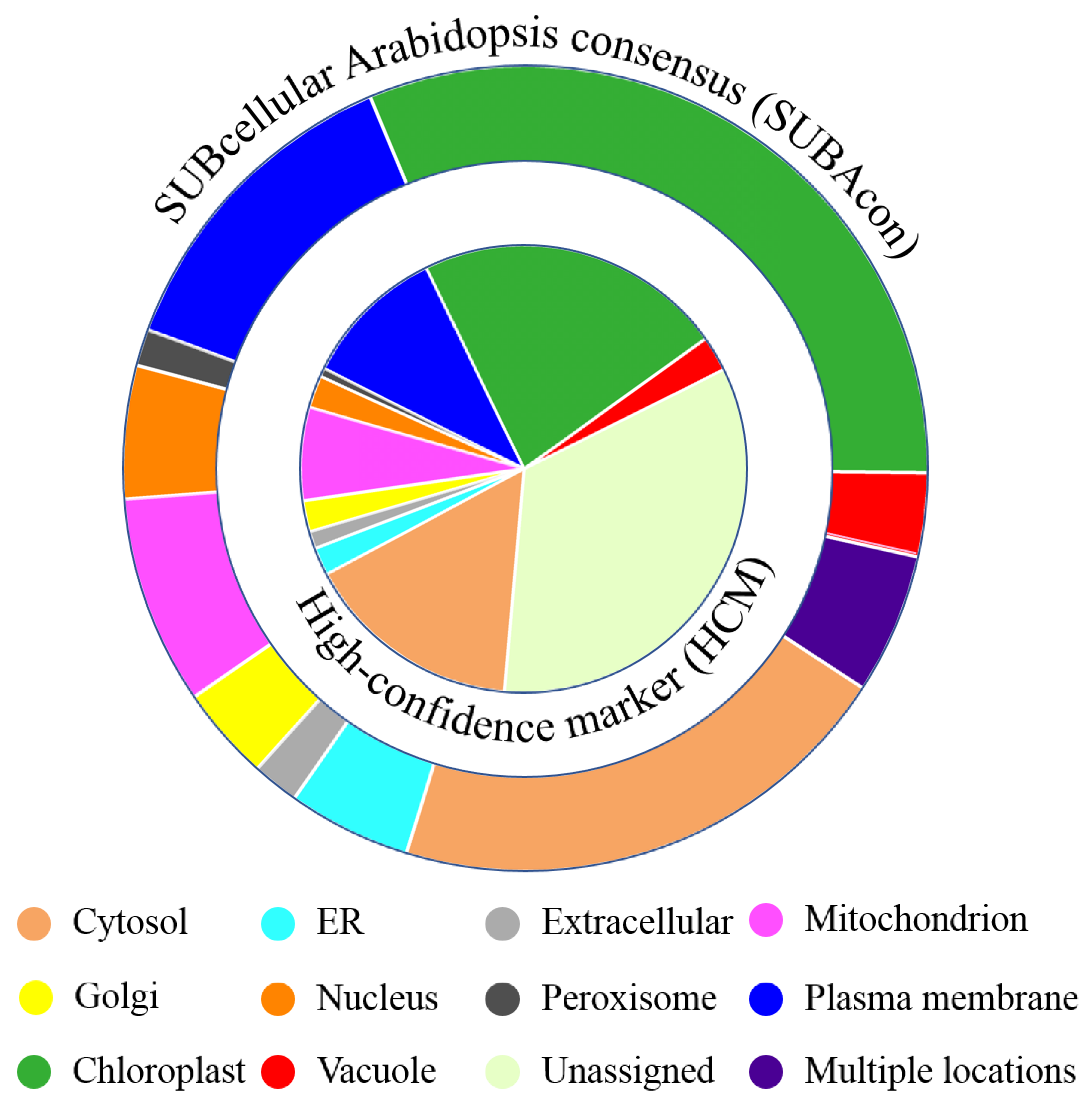 Ijms 22 05020 g004 Ijms 22 05020 g004