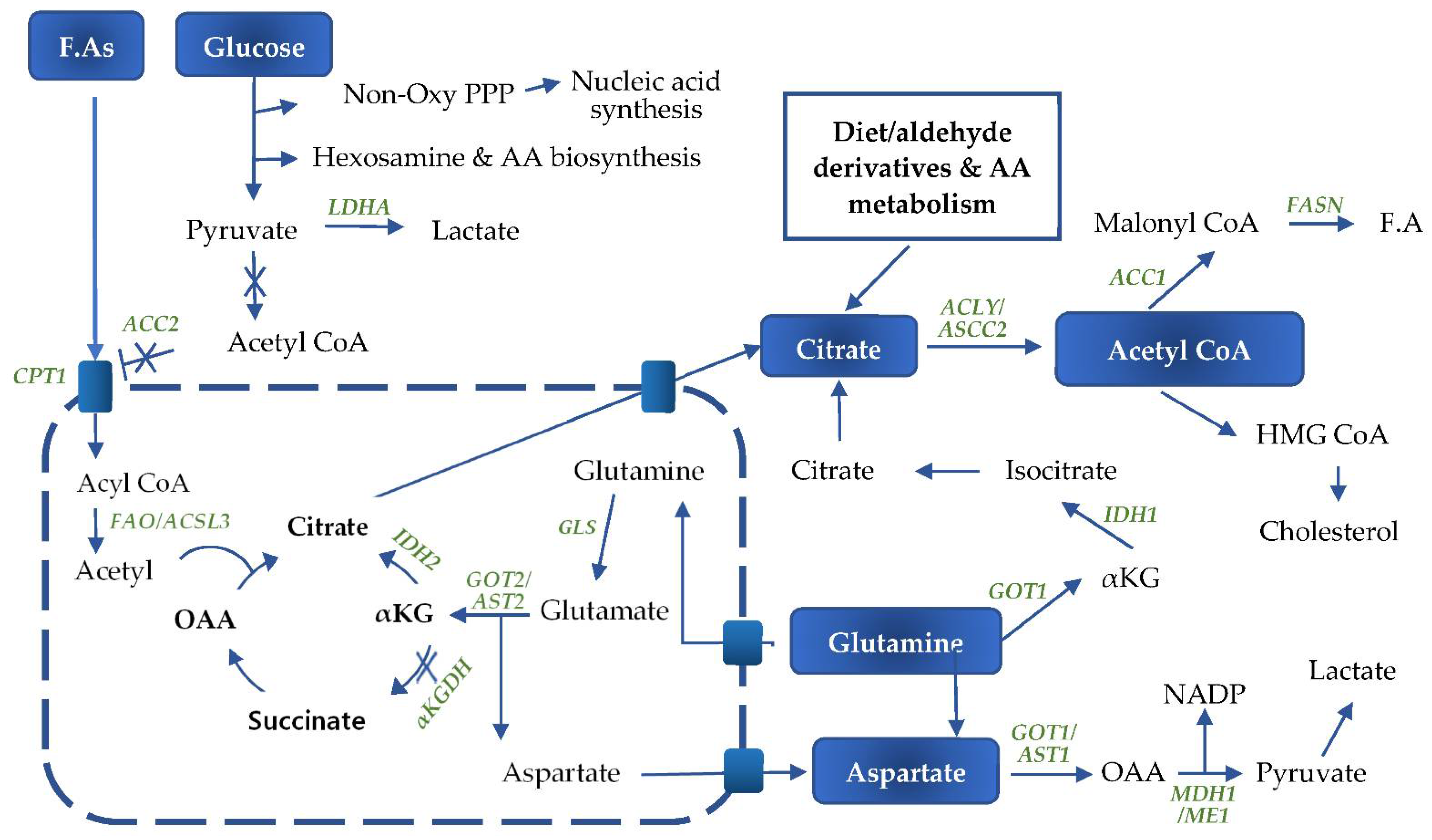 Ijms 22 05070 g002 Ijms 22 05070 g002