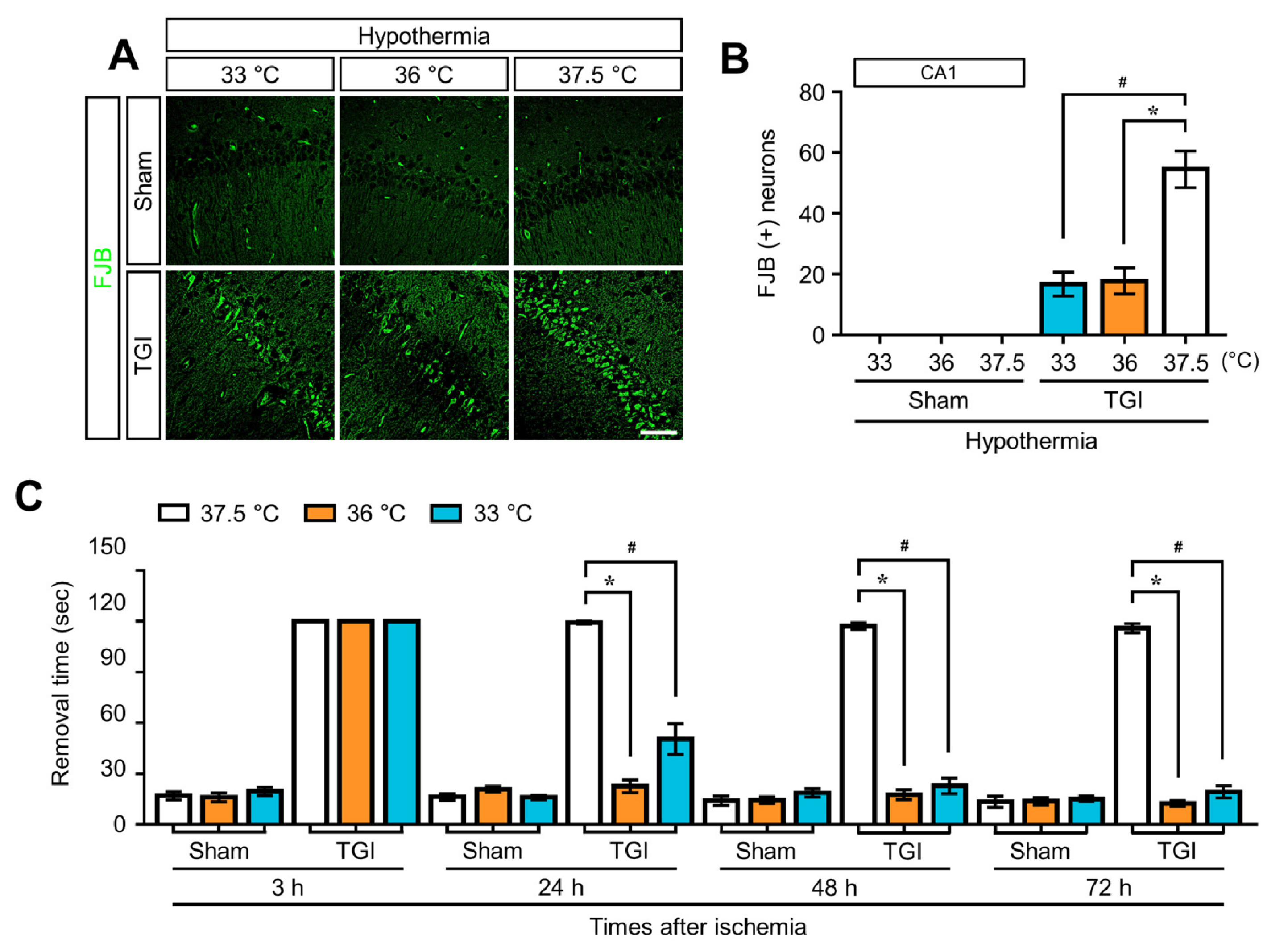 Ijms 22 05114 g001 Ijms 22 05114 g001