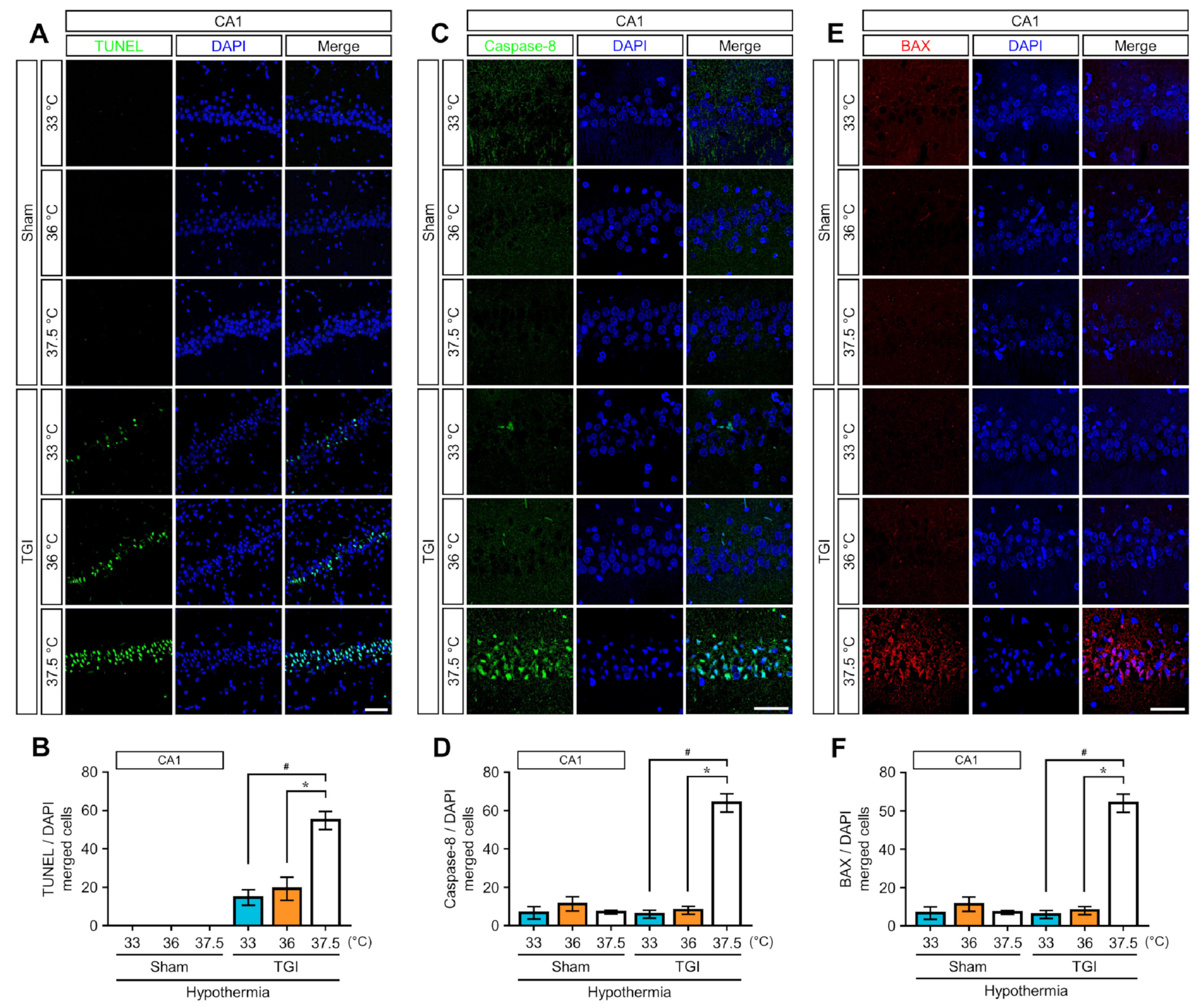 Ijms 22 05114 g002 Ijms 22 05114 g002