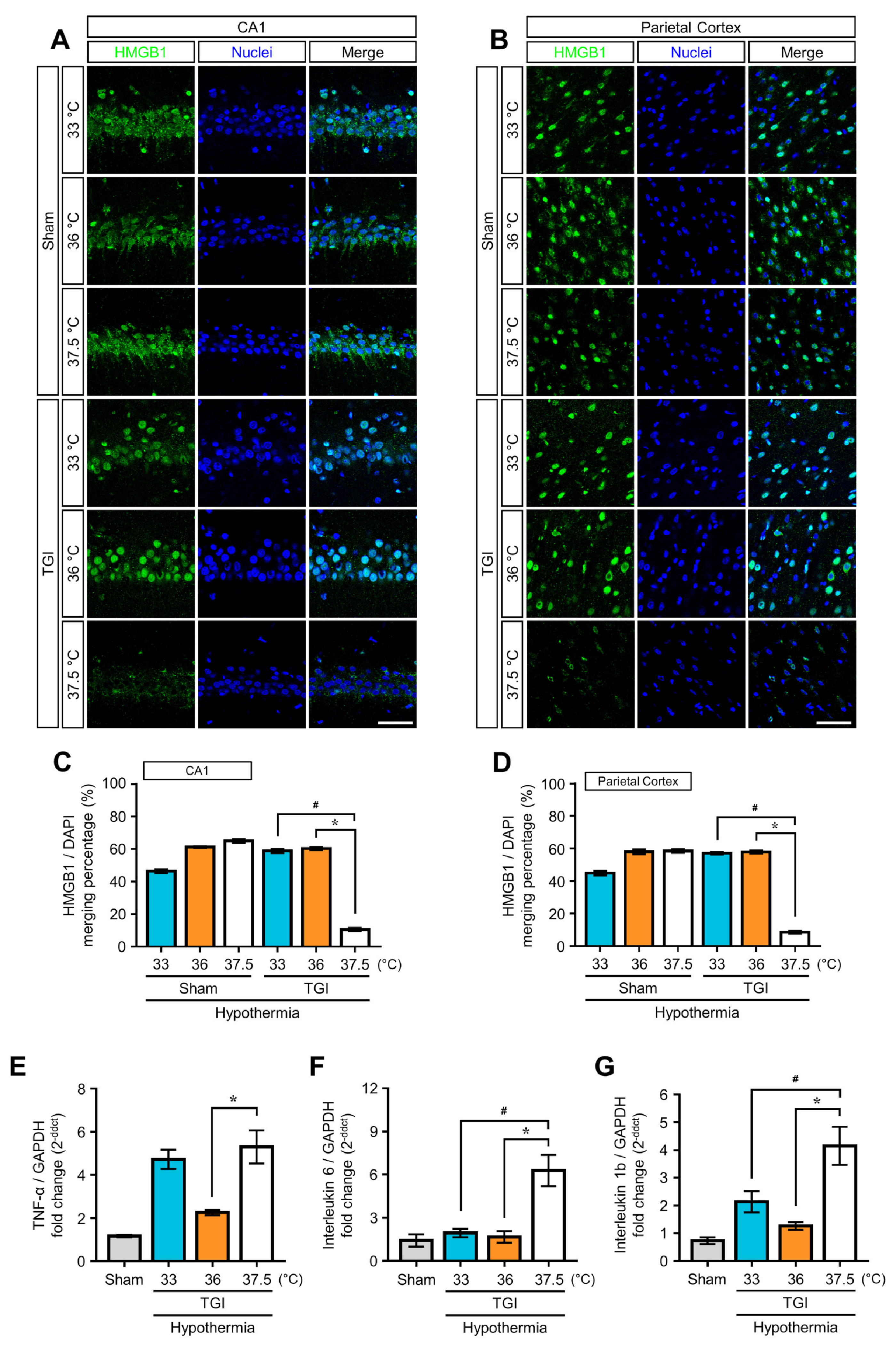 Ijms 22 05114 g003 Ijms 22 05114 g003