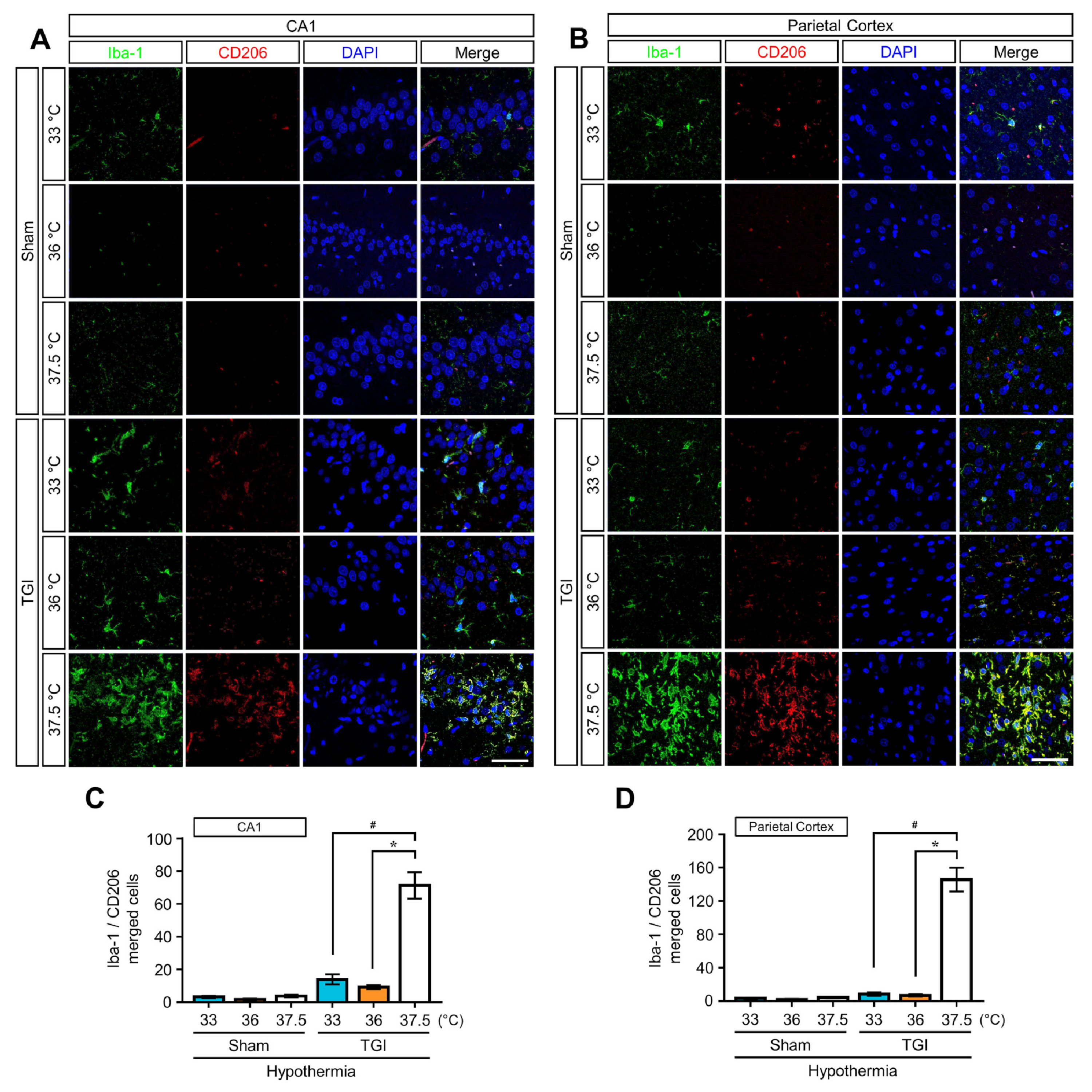 Ijms 22 05114 g005 Ijms 22 05114 g005
