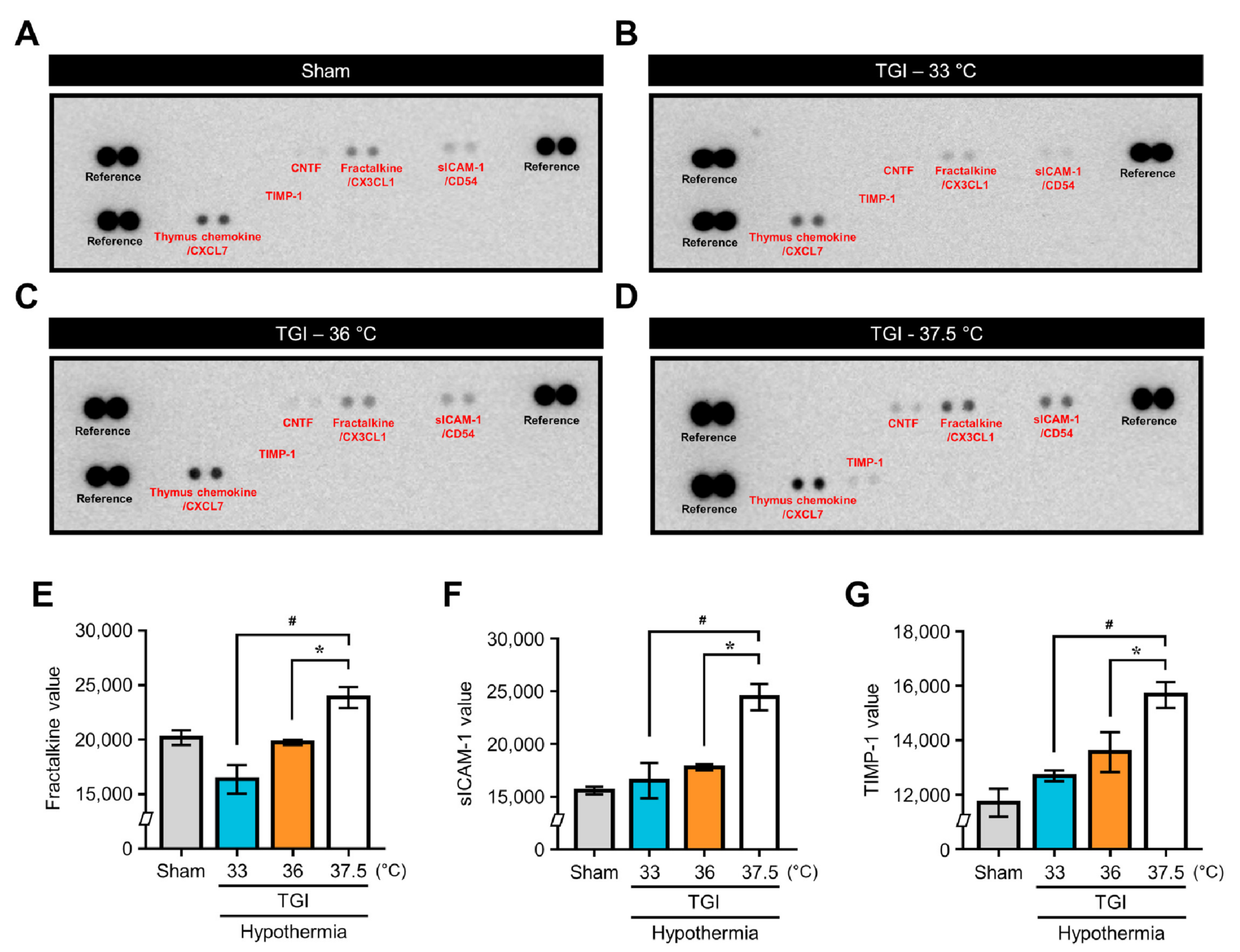 Ijms 22 05114 g006 Ijms 22 05114 g006