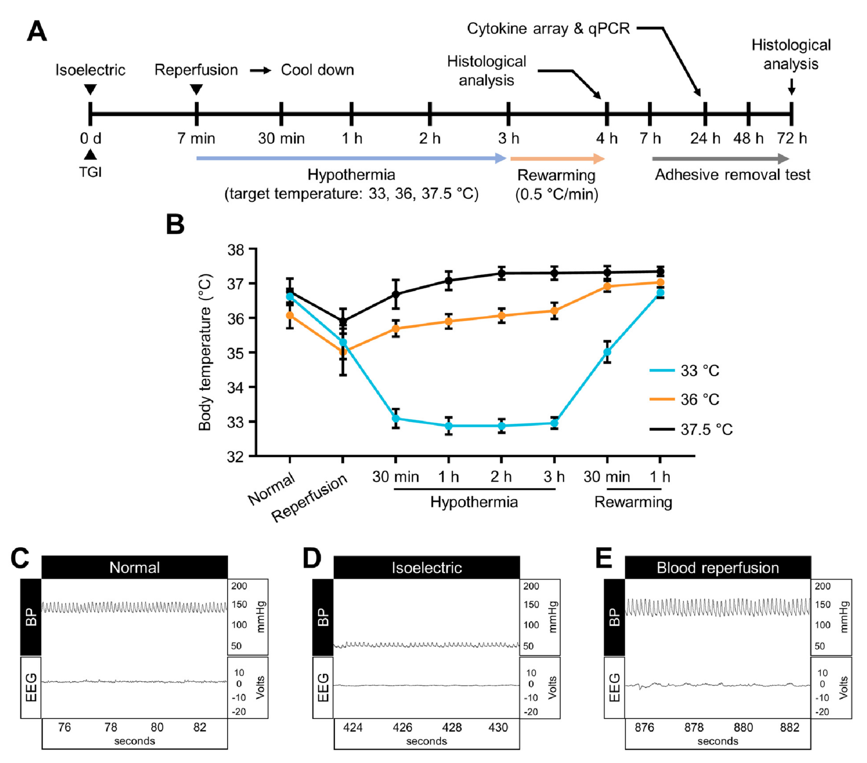 Ijms 22 05114 g007 Ijms 22 05114 g007