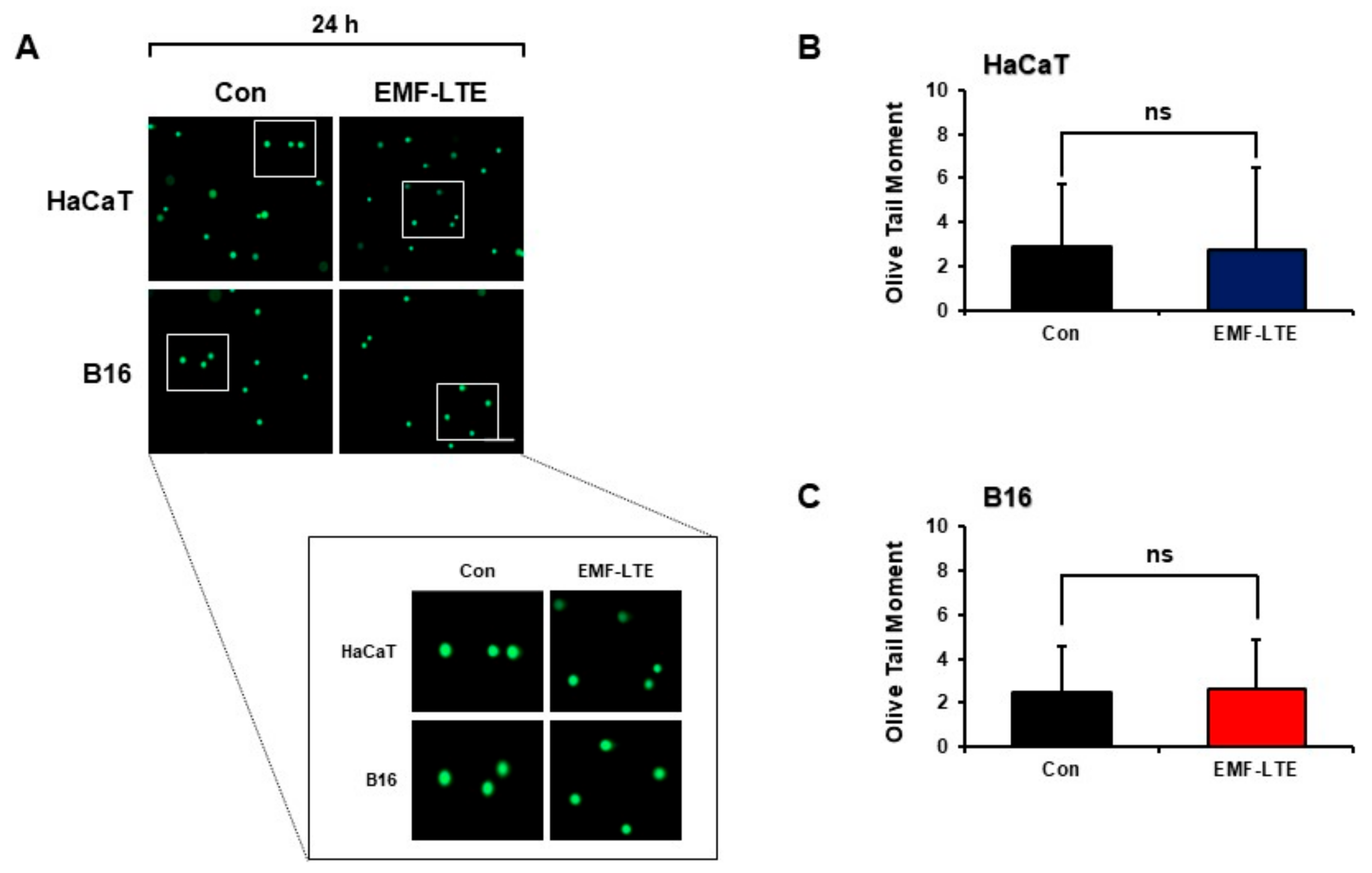 Ijms 22 05134 g002 Ijms 22 05134 g002