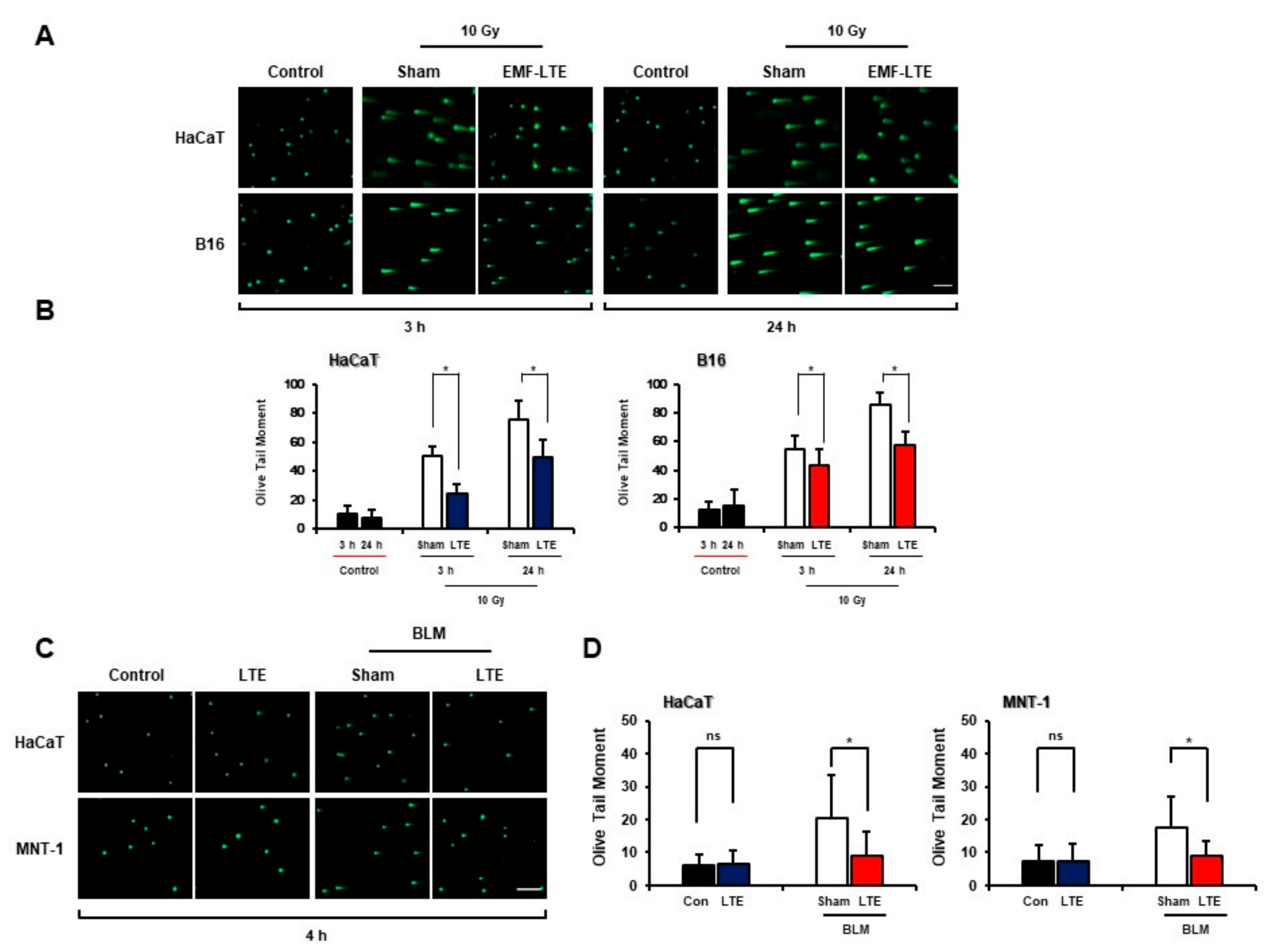 Ijms 22 05134 g003 Ijms 22 05134 g003