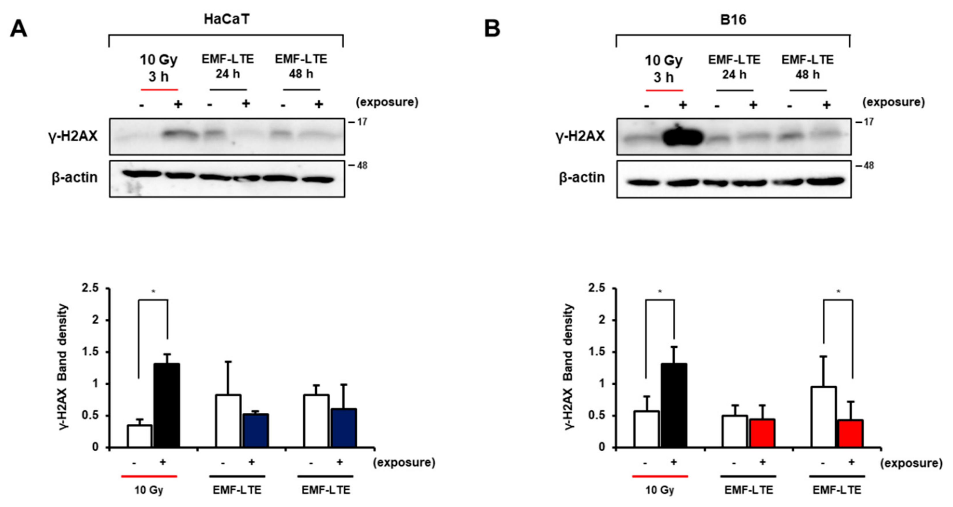 Ijms 22 05134 g004 Ijms 22 05134 g004