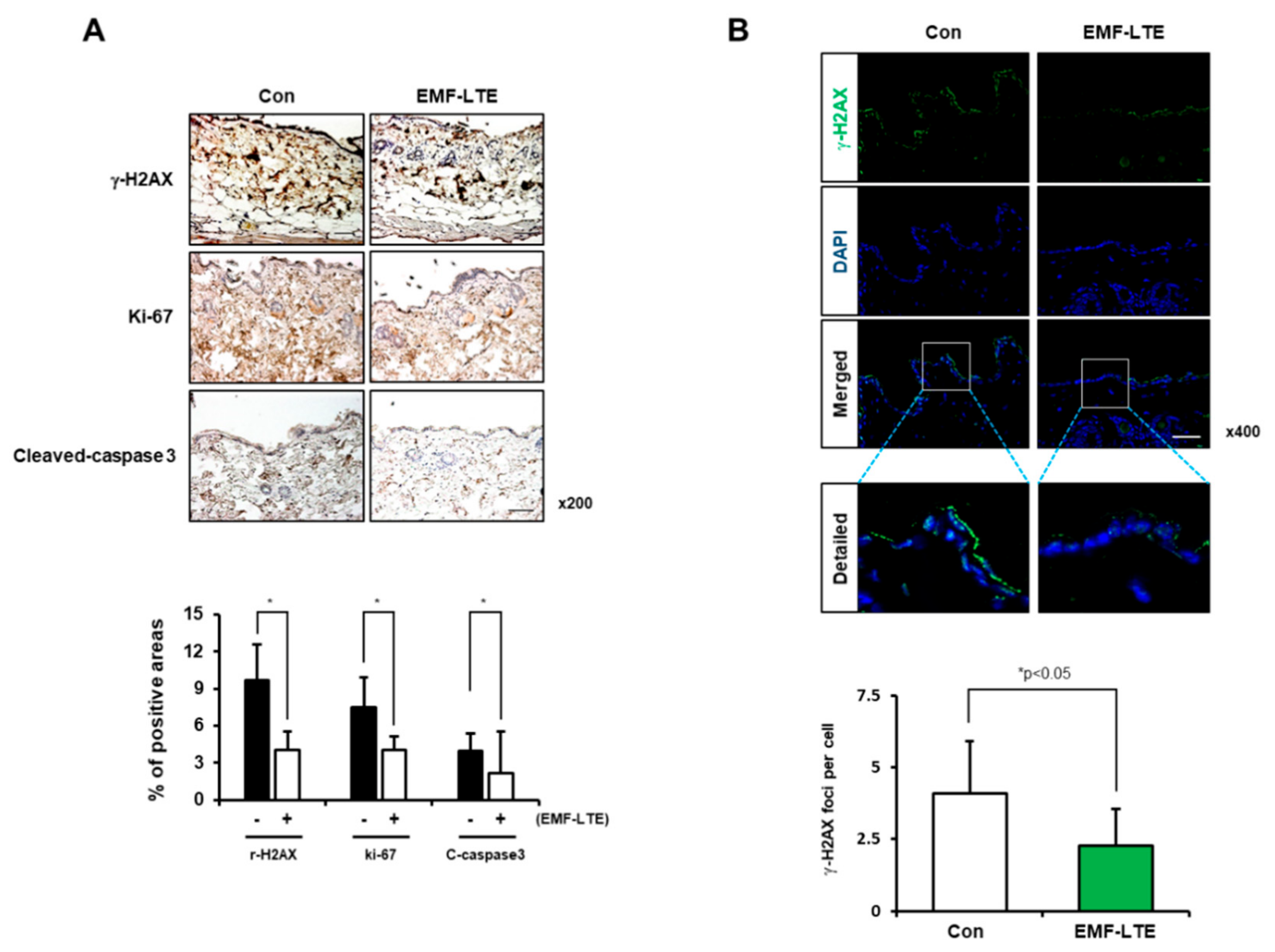 Ijms 22 05134 g005 Ijms 22 05134 g005