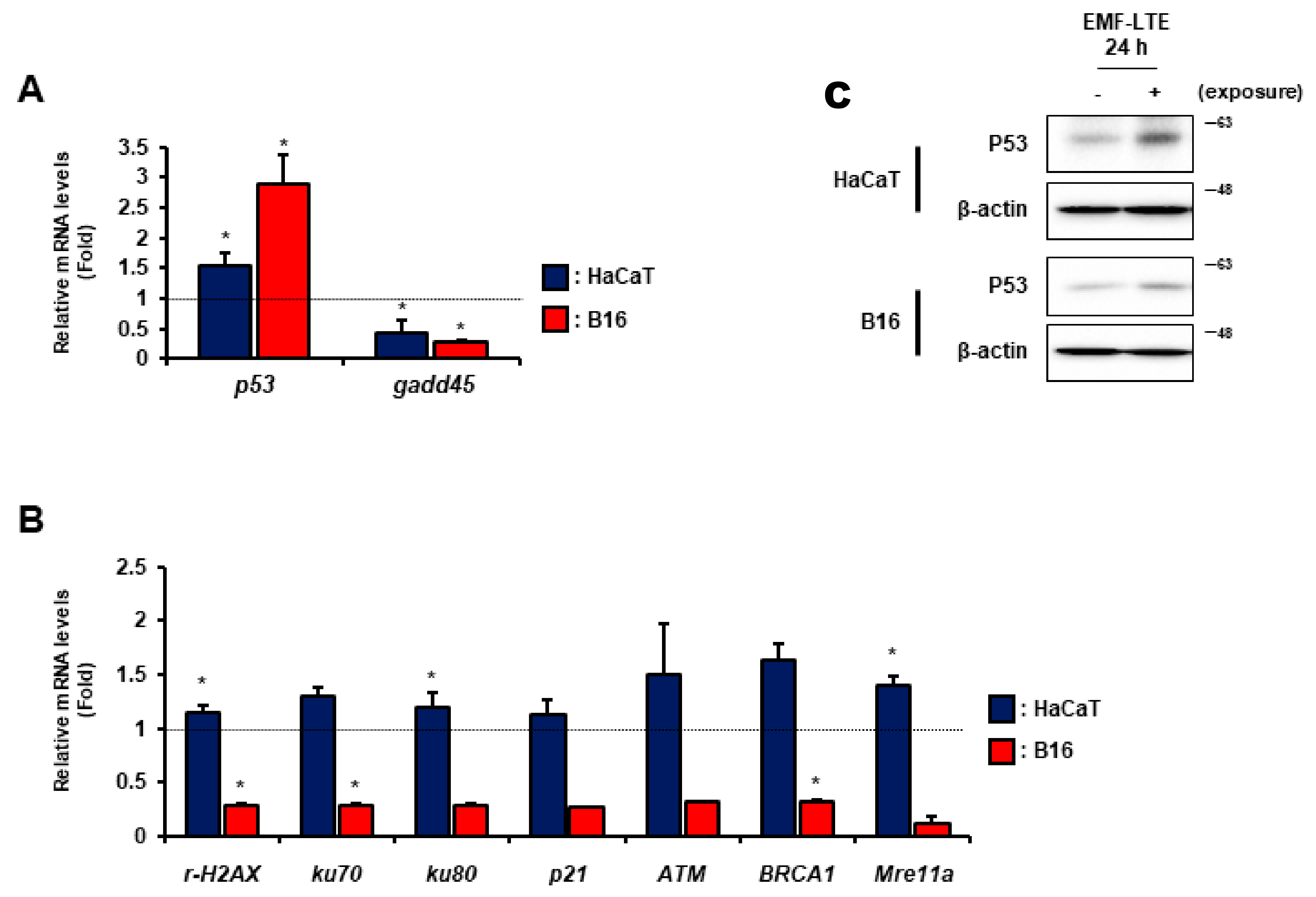 Ijms 22 05134 g006 Ijms 22 05134 g006