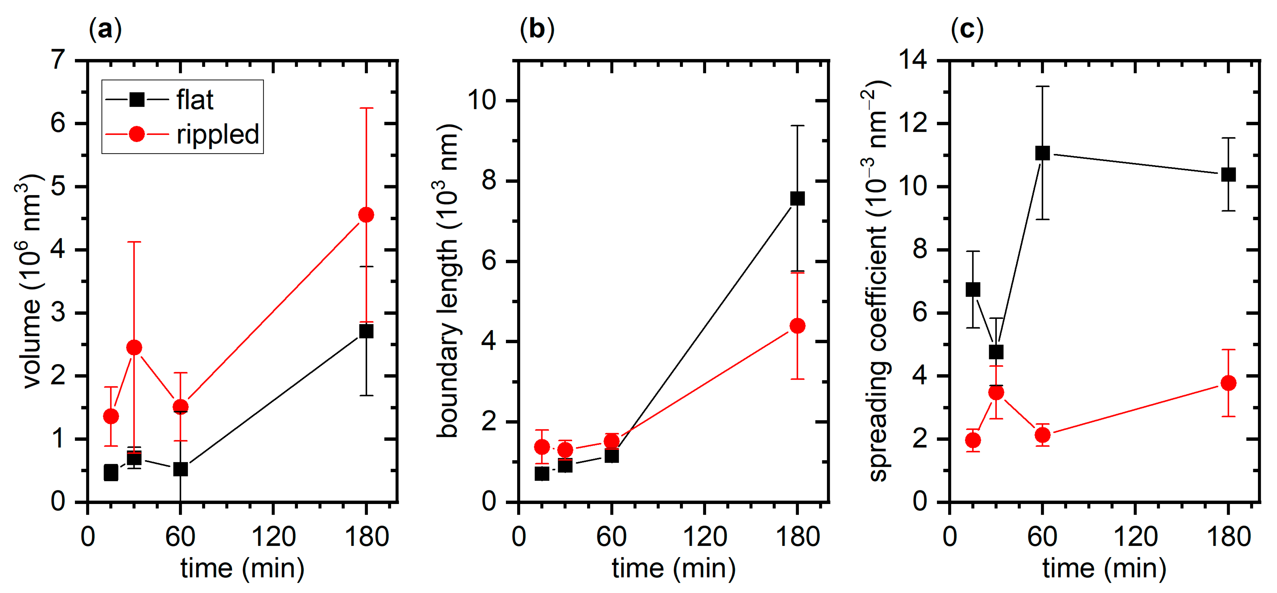 Ijms 22 05142 g005 Ijms 22 05142 g005