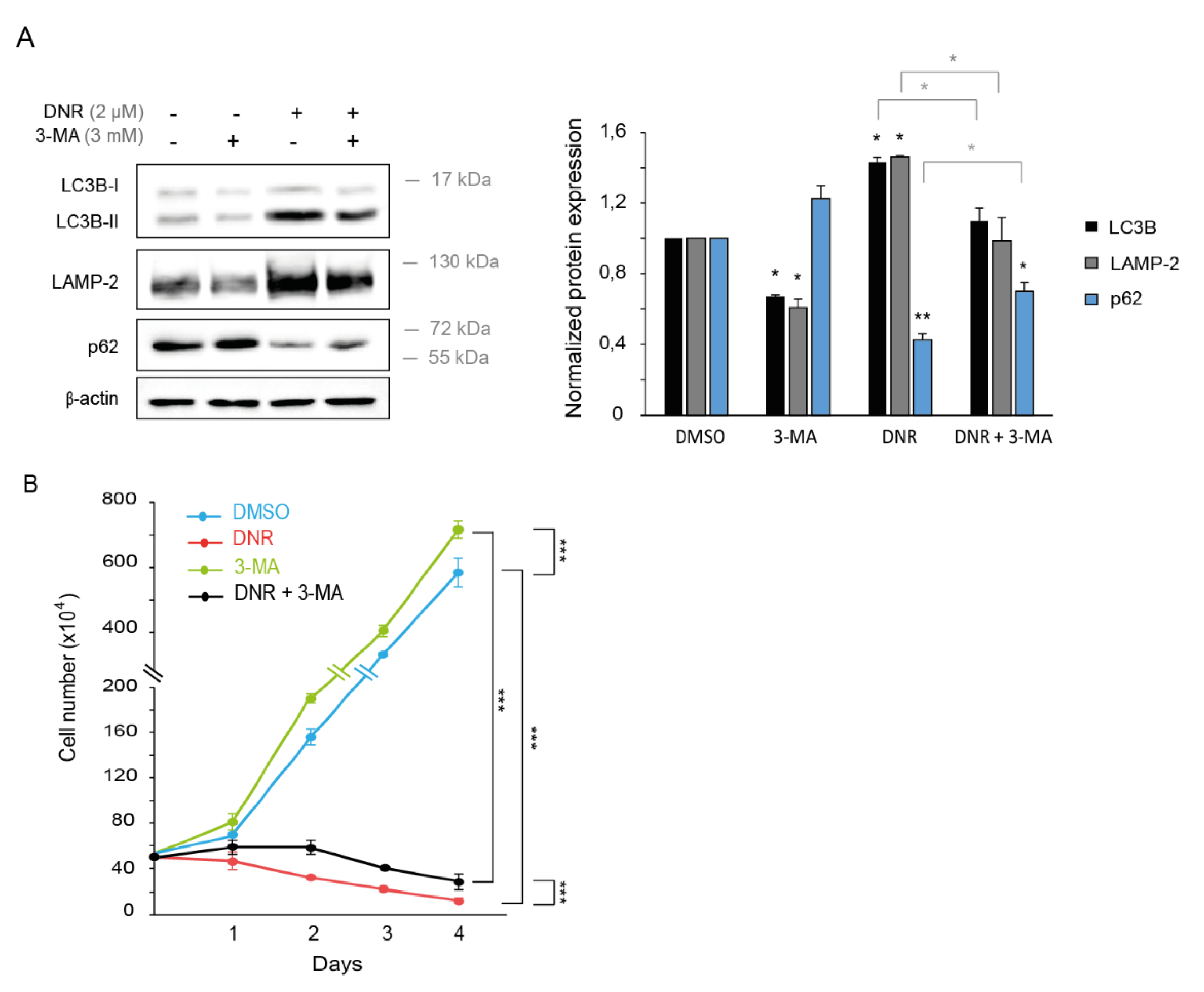 Ijms 22 05153 g002 Ijms 22 05153 g002