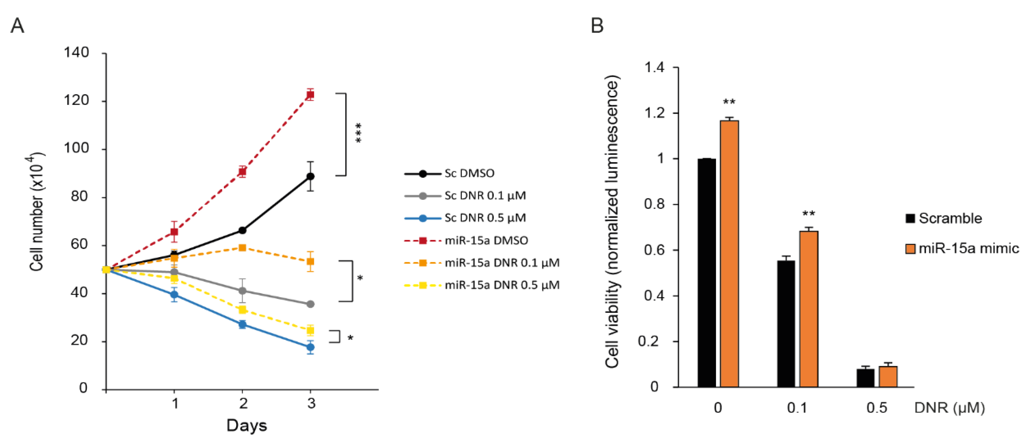 Ijms 22 05153 g004 Ijms 22 05153 g004