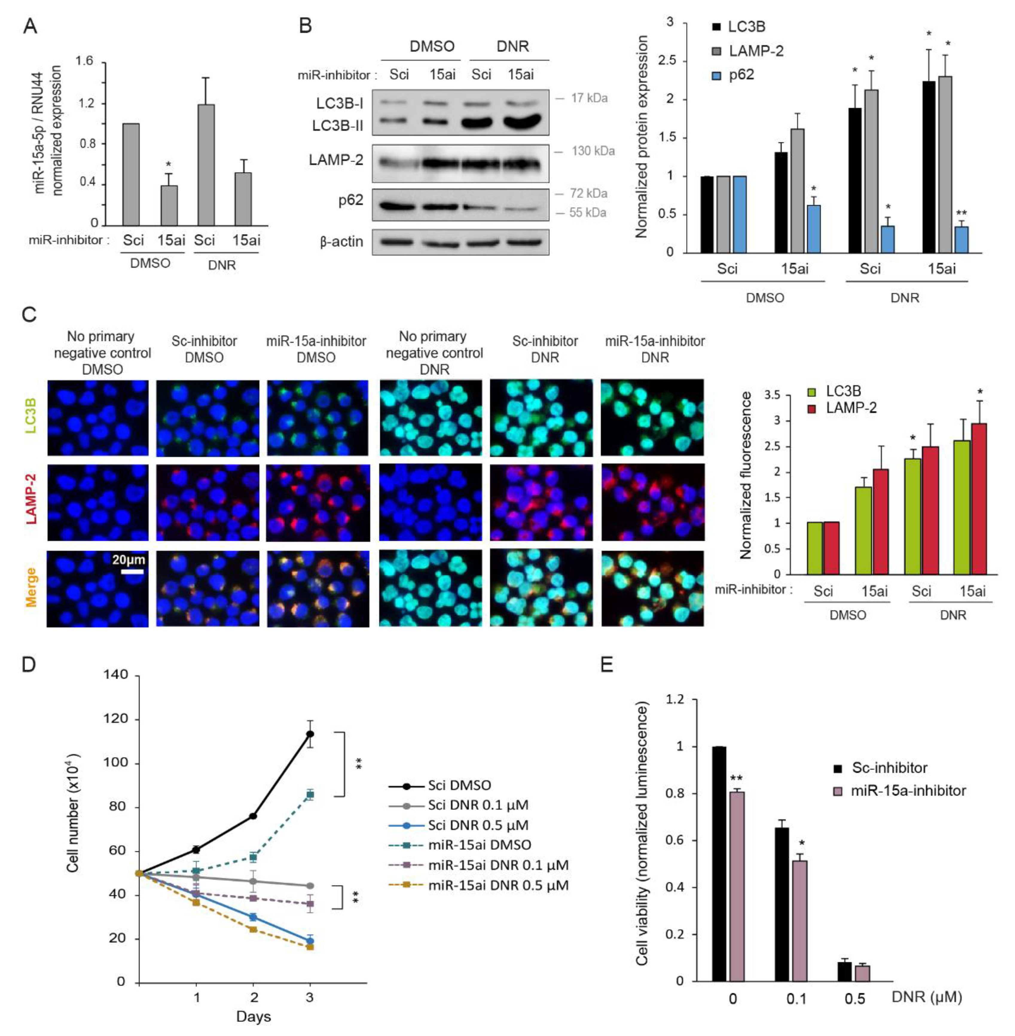 Ijms 22 05153 g005 Ijms 22 05153 g005