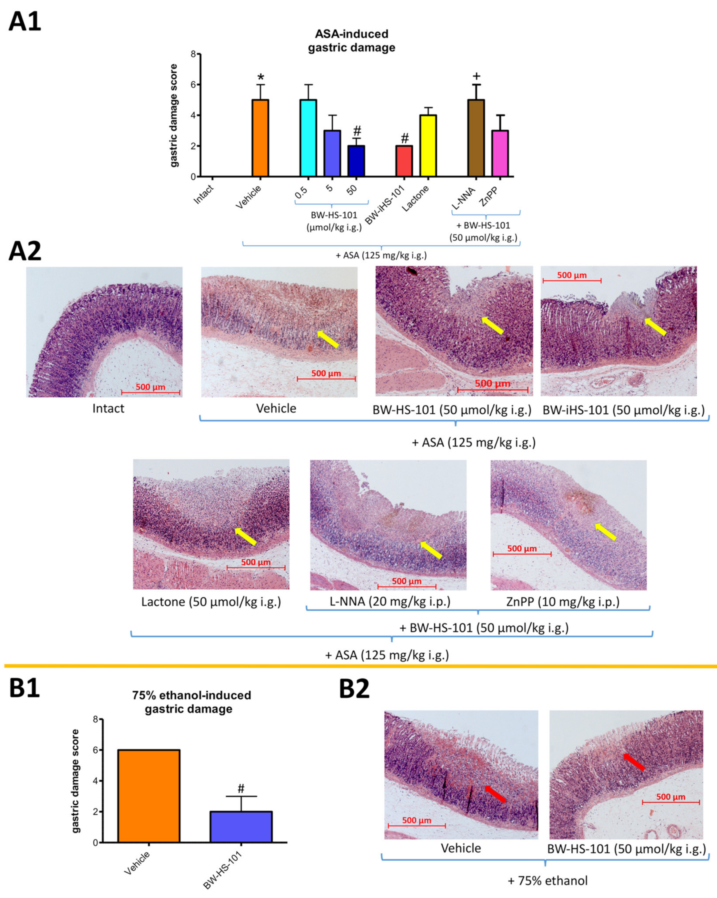 Ijms 22 05211 g002 Ijms 22 05211 g002