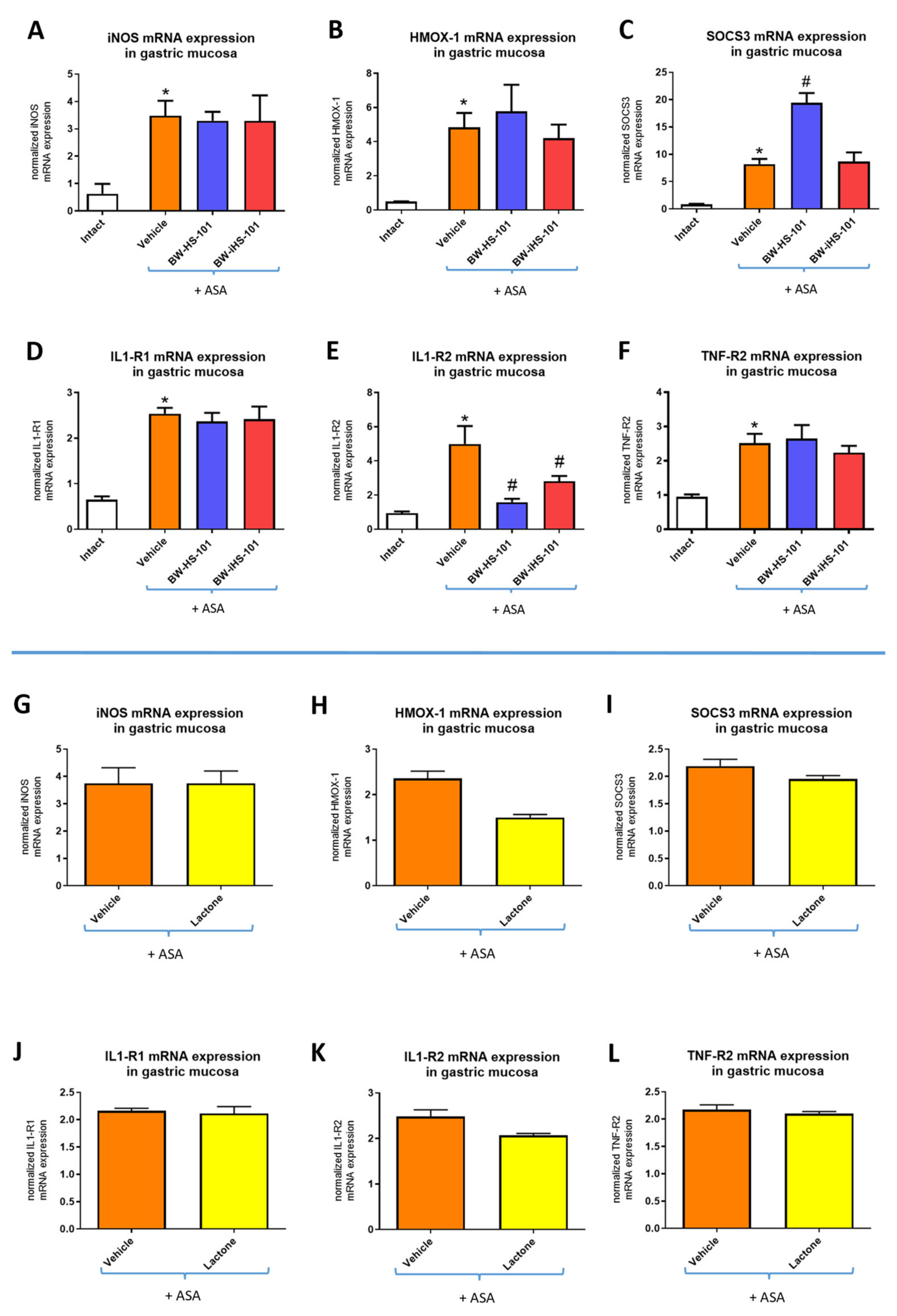 Ijms 22 05211 g004 Ijms 22 05211 g004