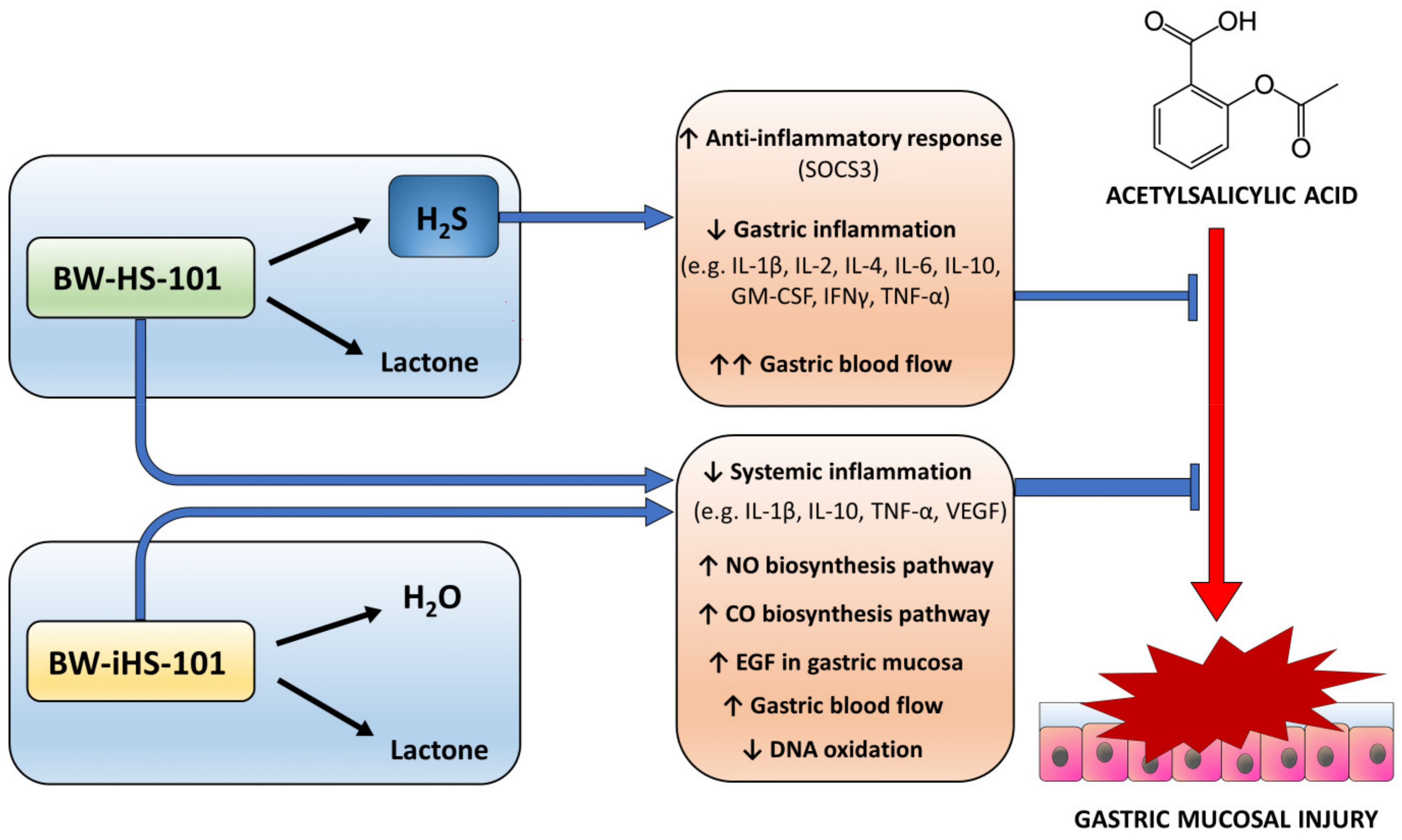 Ijms 22 05211 g008 Ijms 22 05211 g008