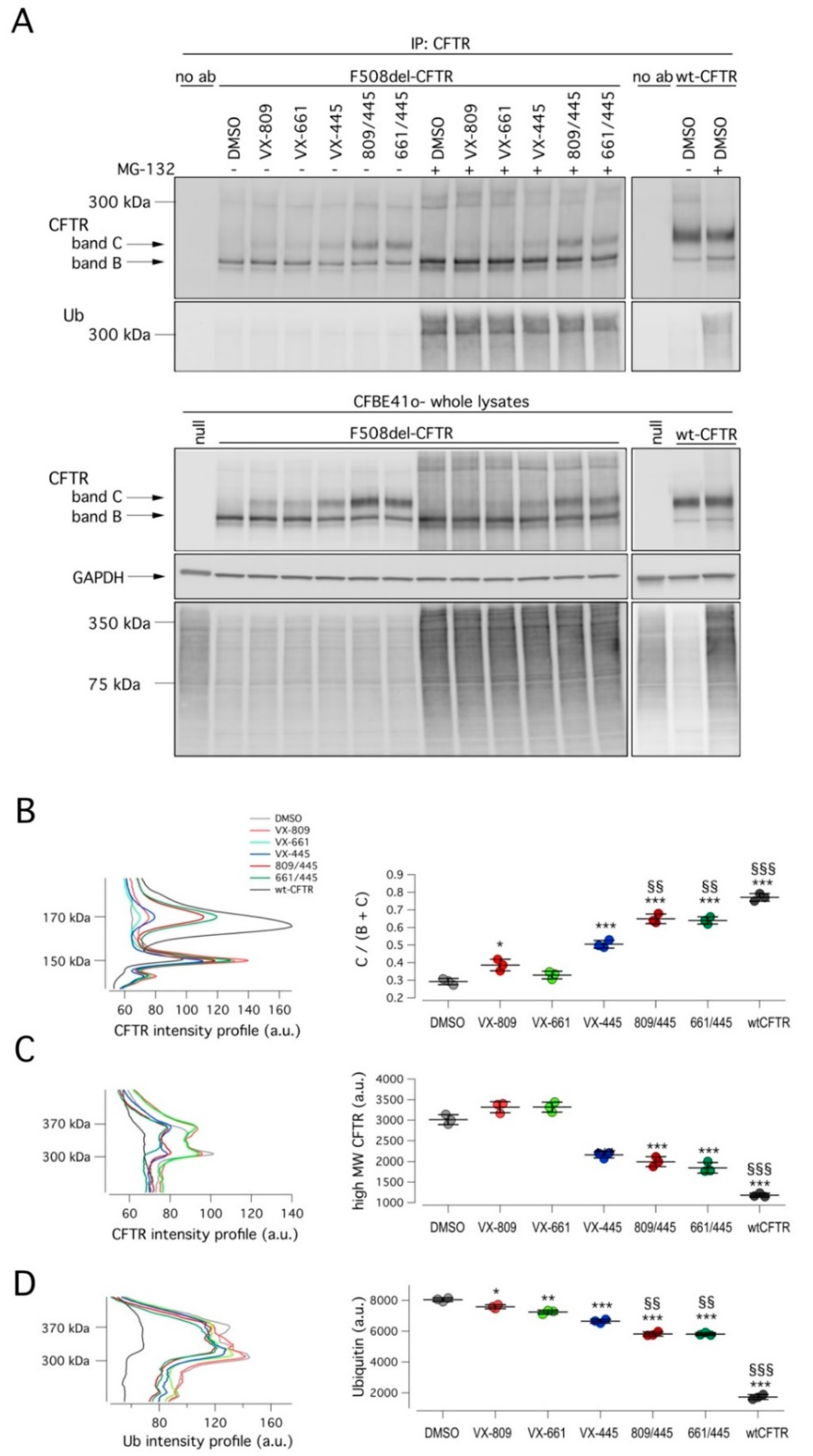 Ijms 22 05262 g004 Ijms 22 05262 g004