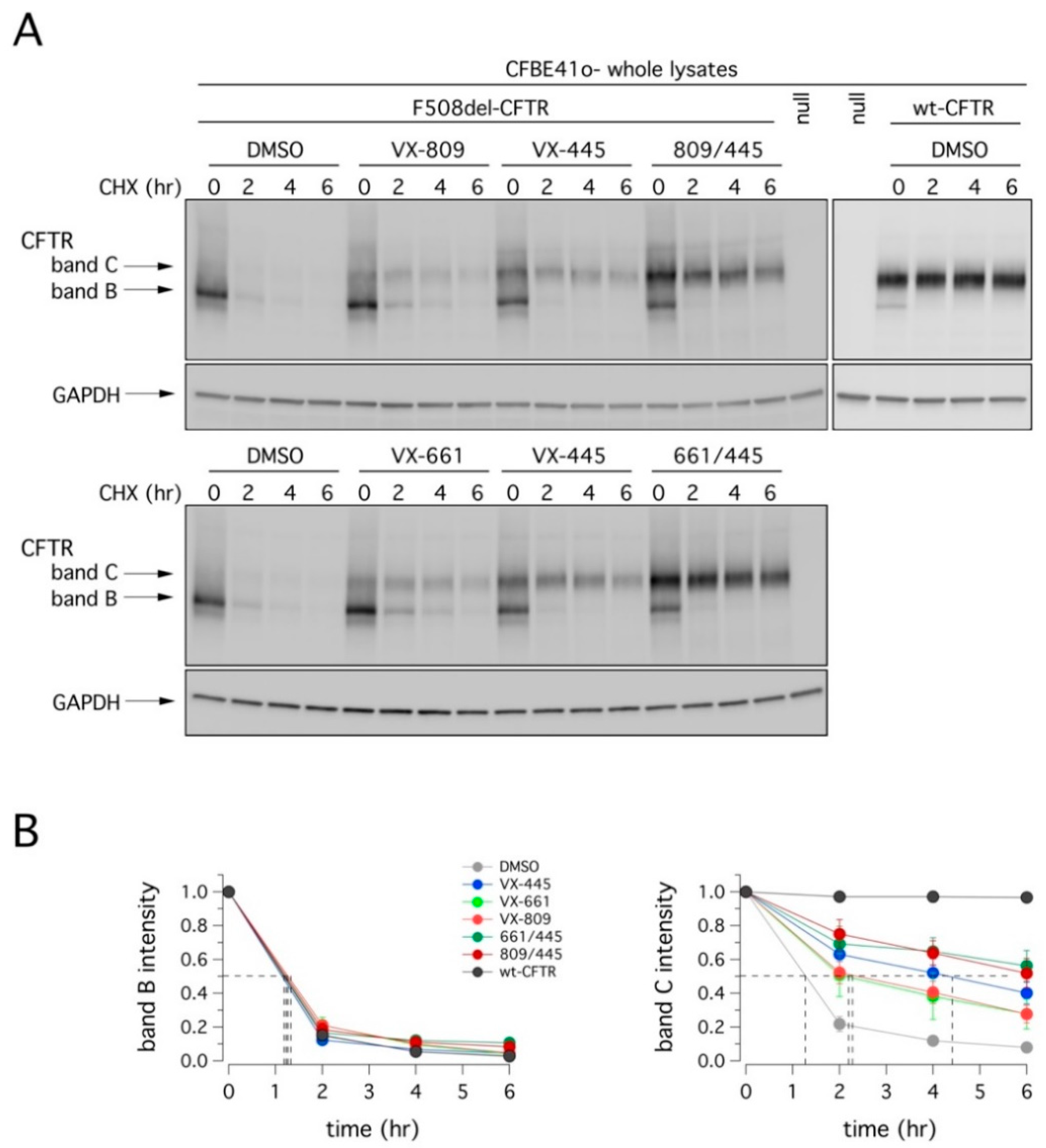 Ijms 22 05262 g005 Ijms 22 05262 g005