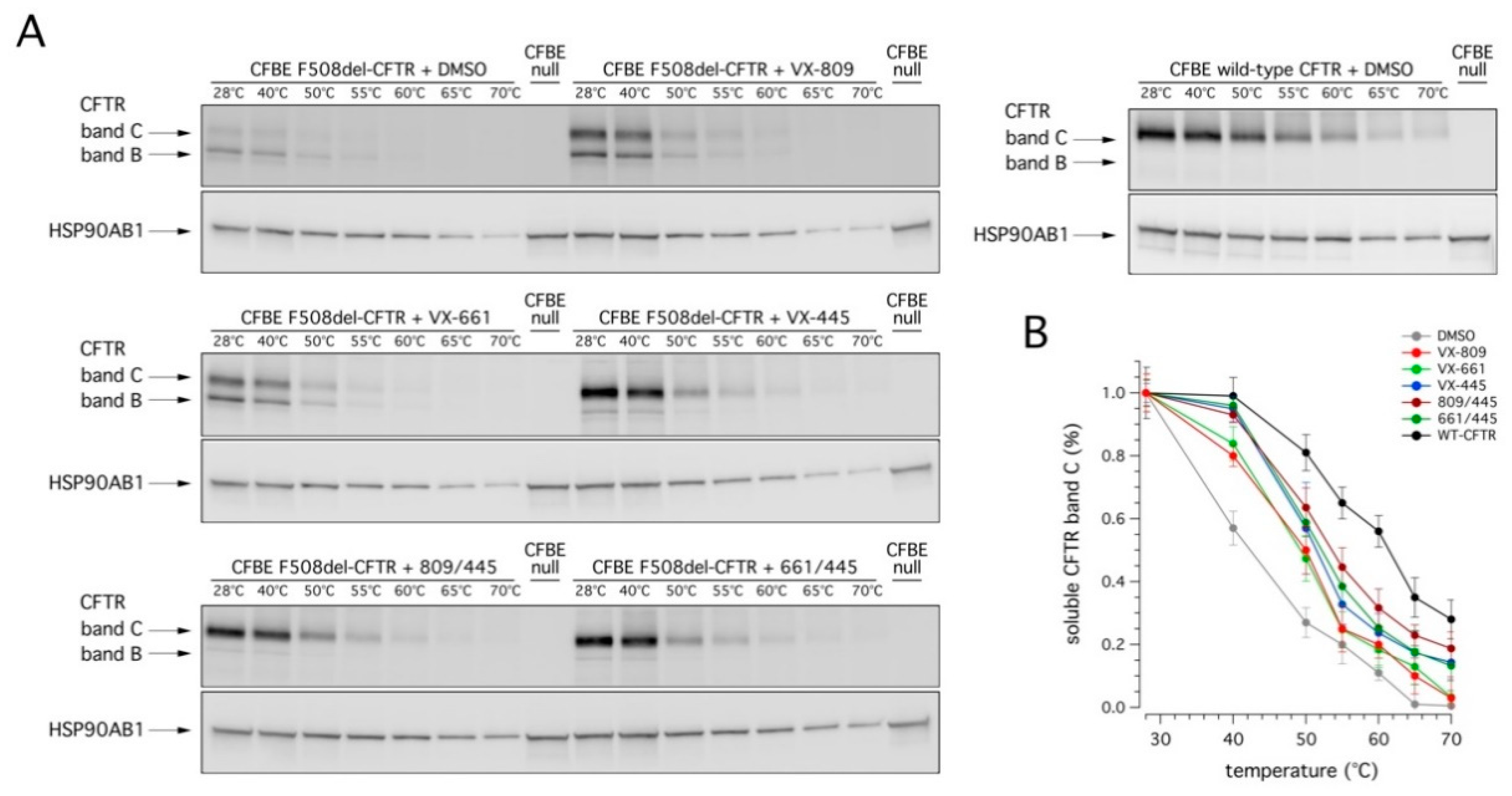 Ijms 22 05262 g006 Ijms 22 05262 g006