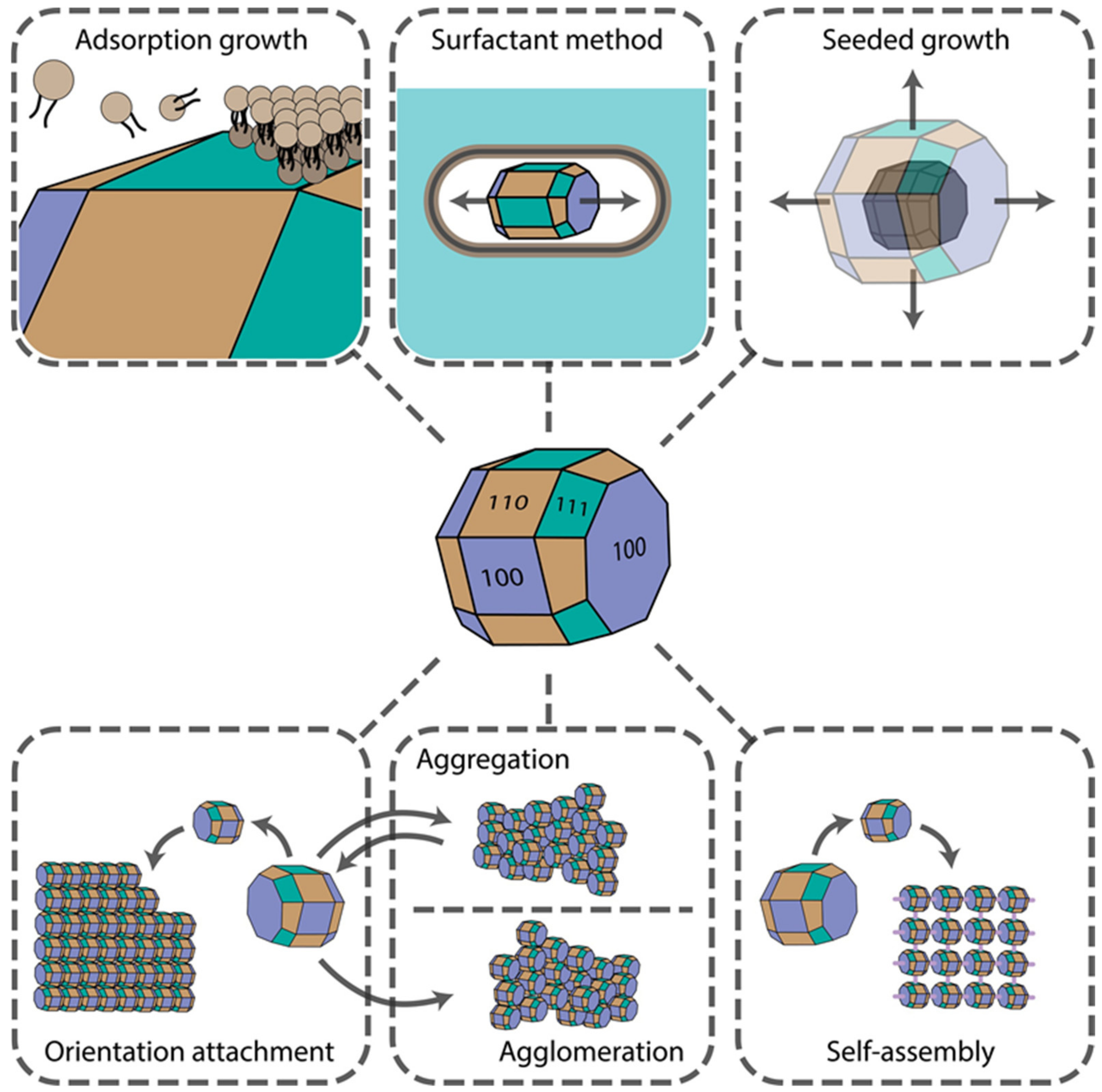 Ijms 22 05266 g001 Ijms 22 05266 g001