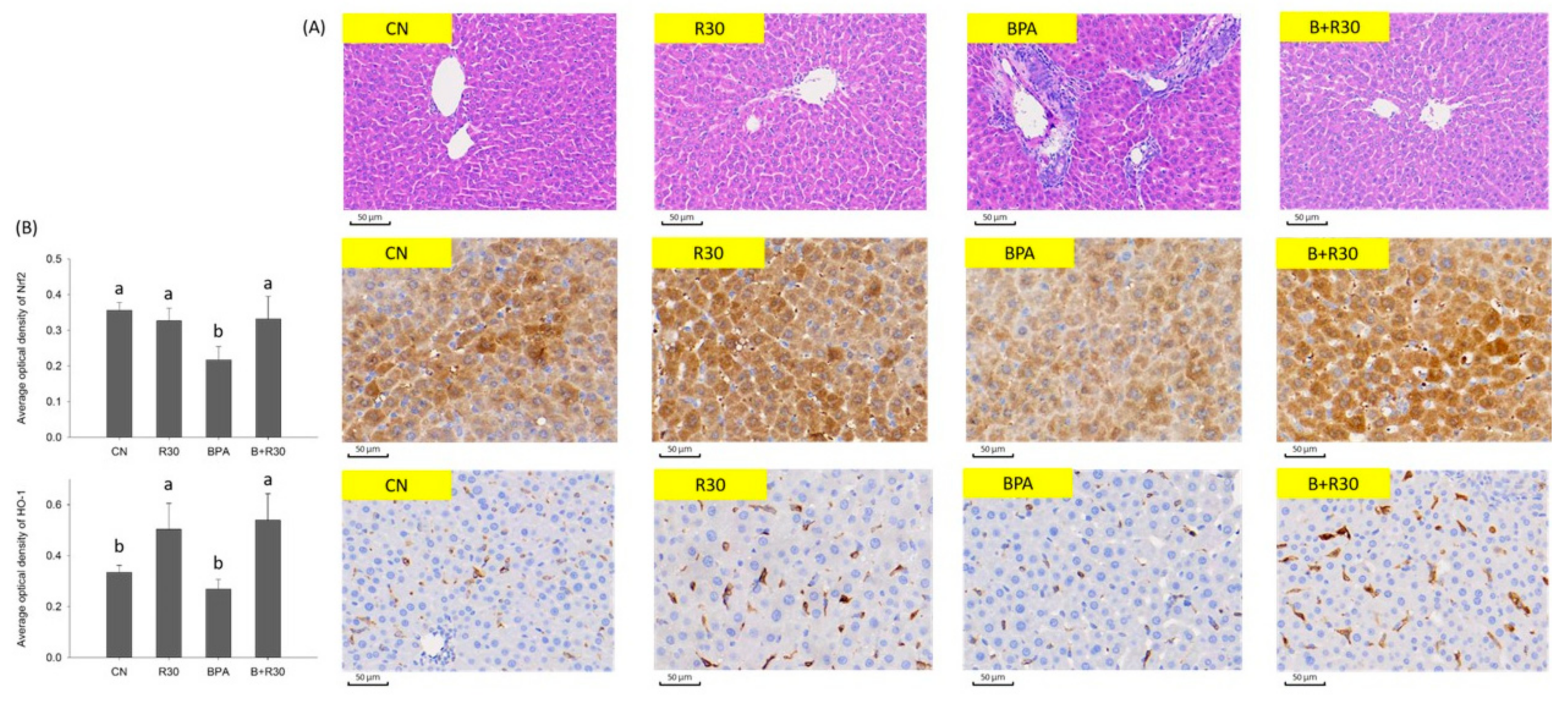 Ijms 22 05273 g002 Ijms 22 05273 g002