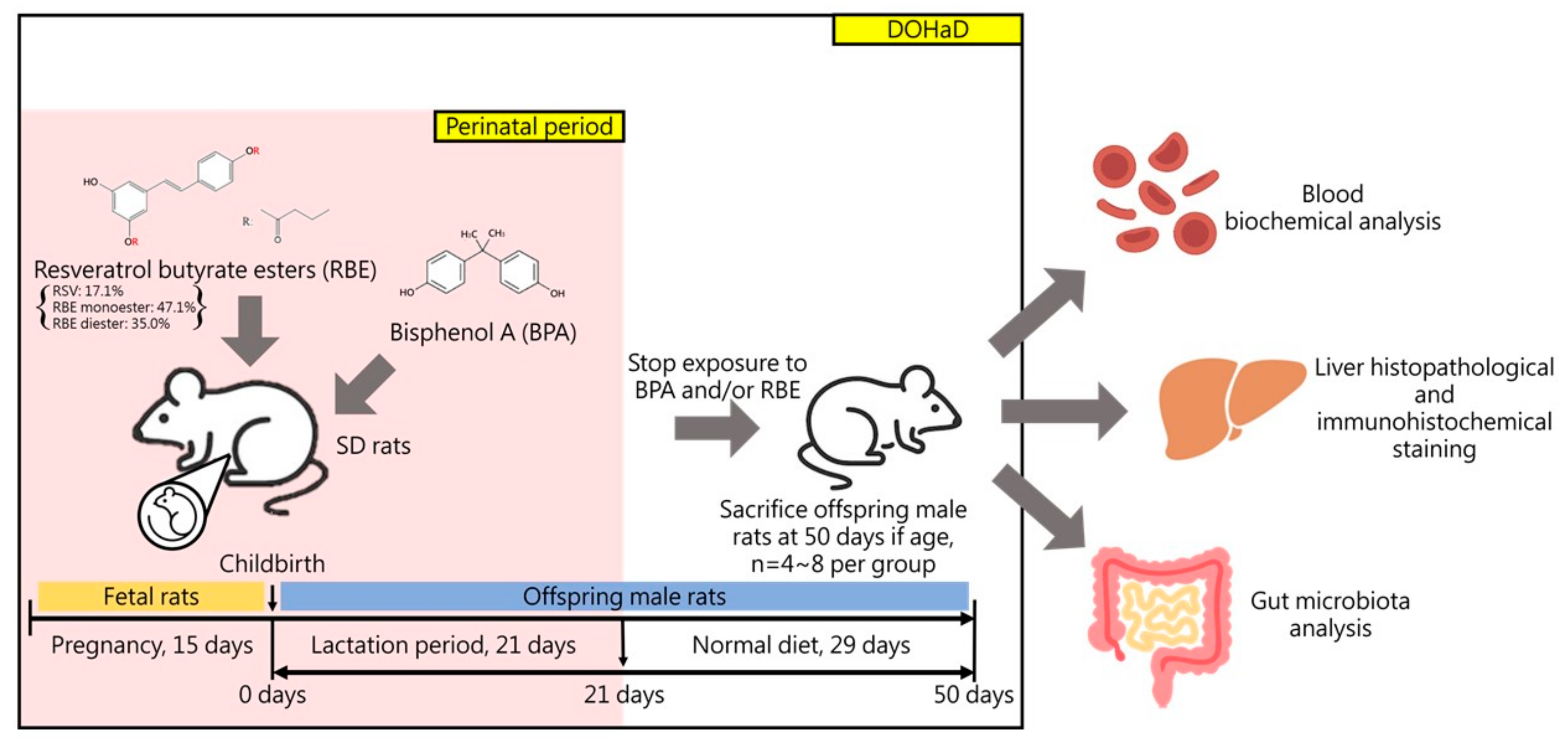 Ijms 22 05273 g0a1 Ijms 22 05273 g0a1